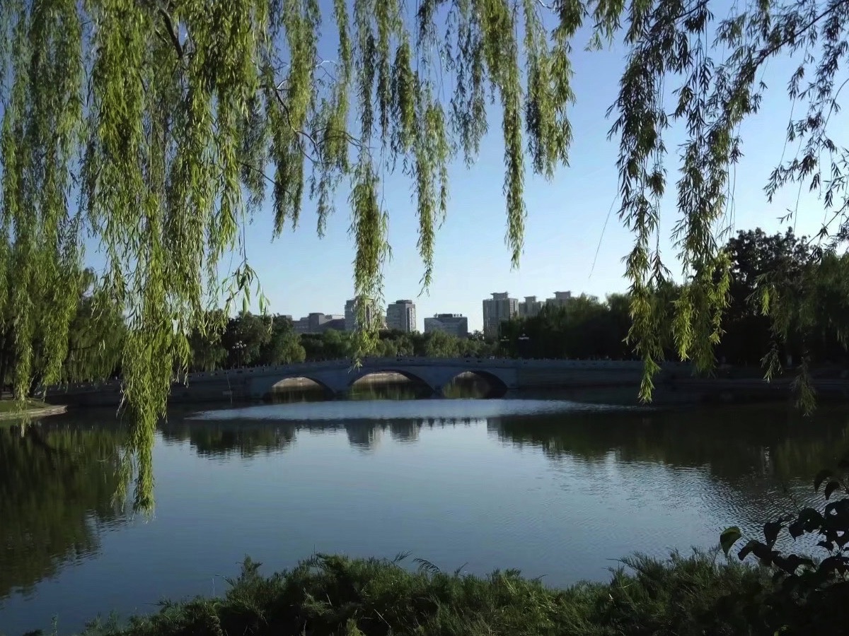龙潭公园旅行图片 3