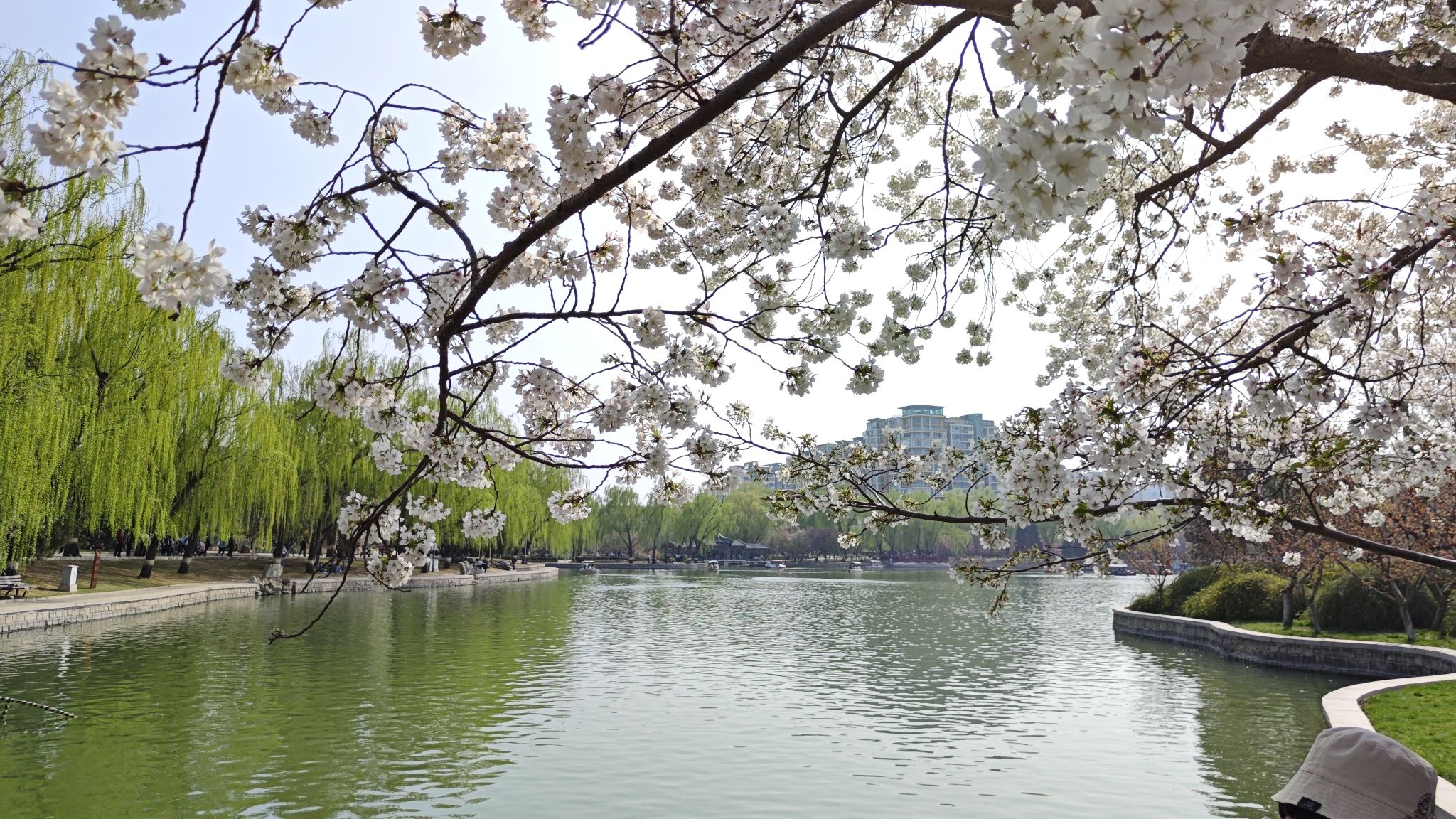 龙潭公园旅行图片 2