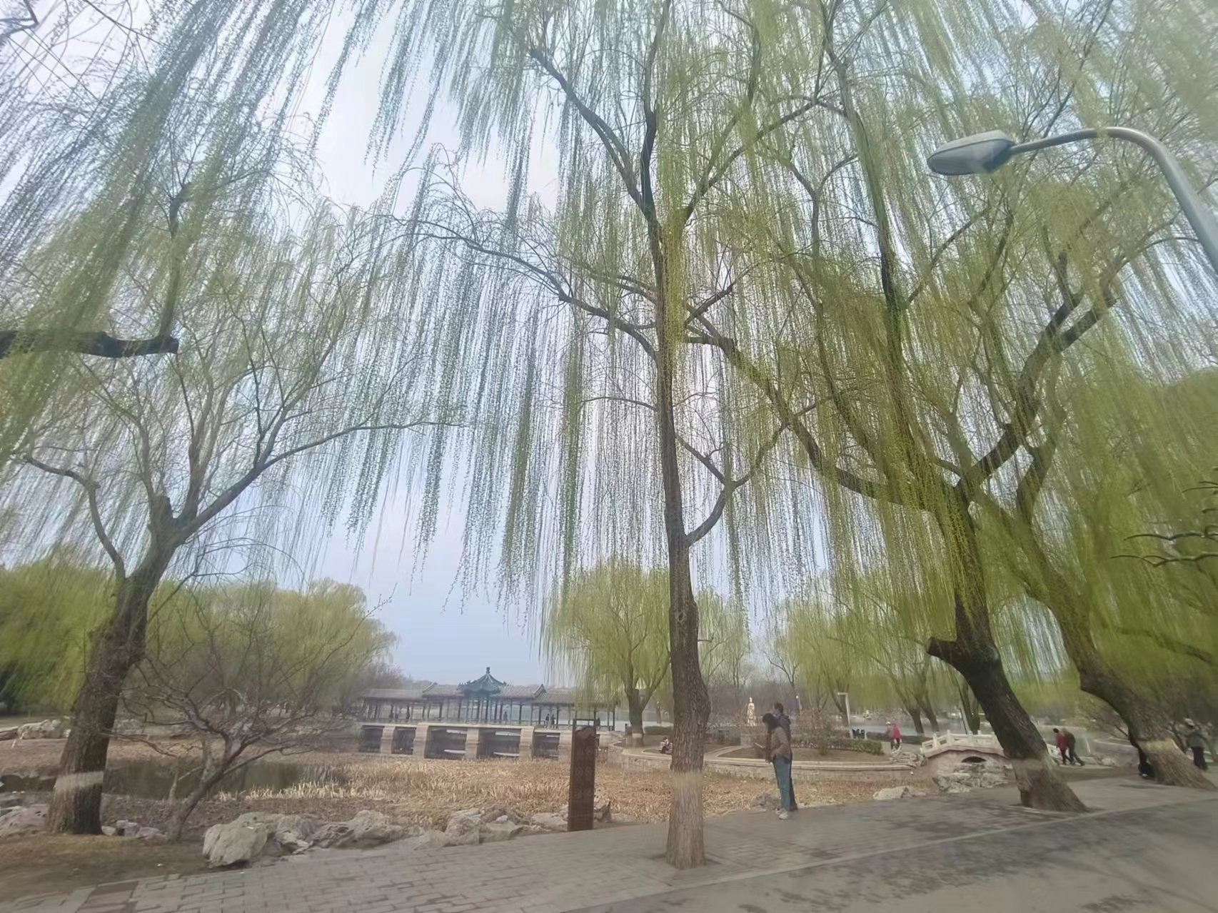 龙潭公园旅行图片 1