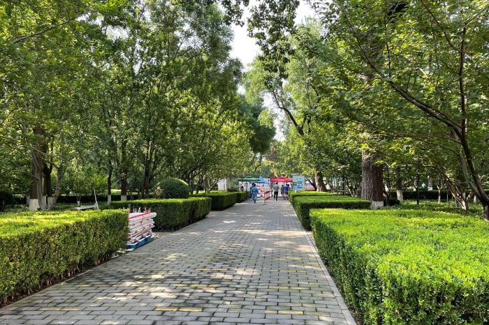 官园公园旅行图片 3