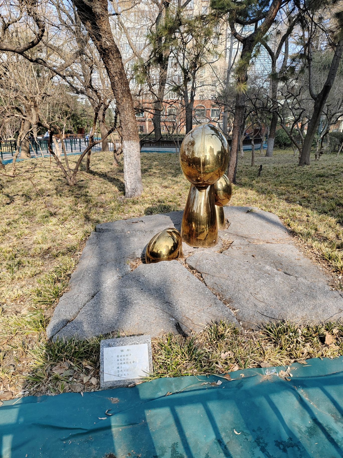 南礼士路公园旅行图片 3