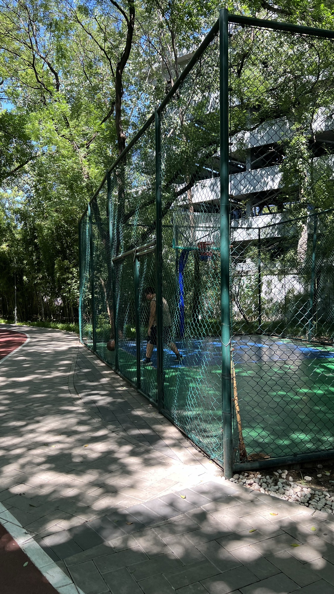 南礼士路公园旅行图片 3