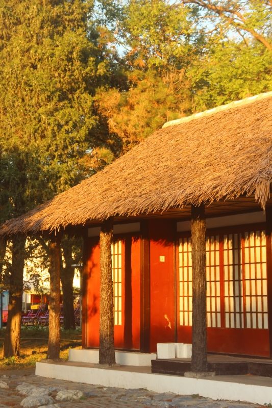 世界公园旅行图片 2
