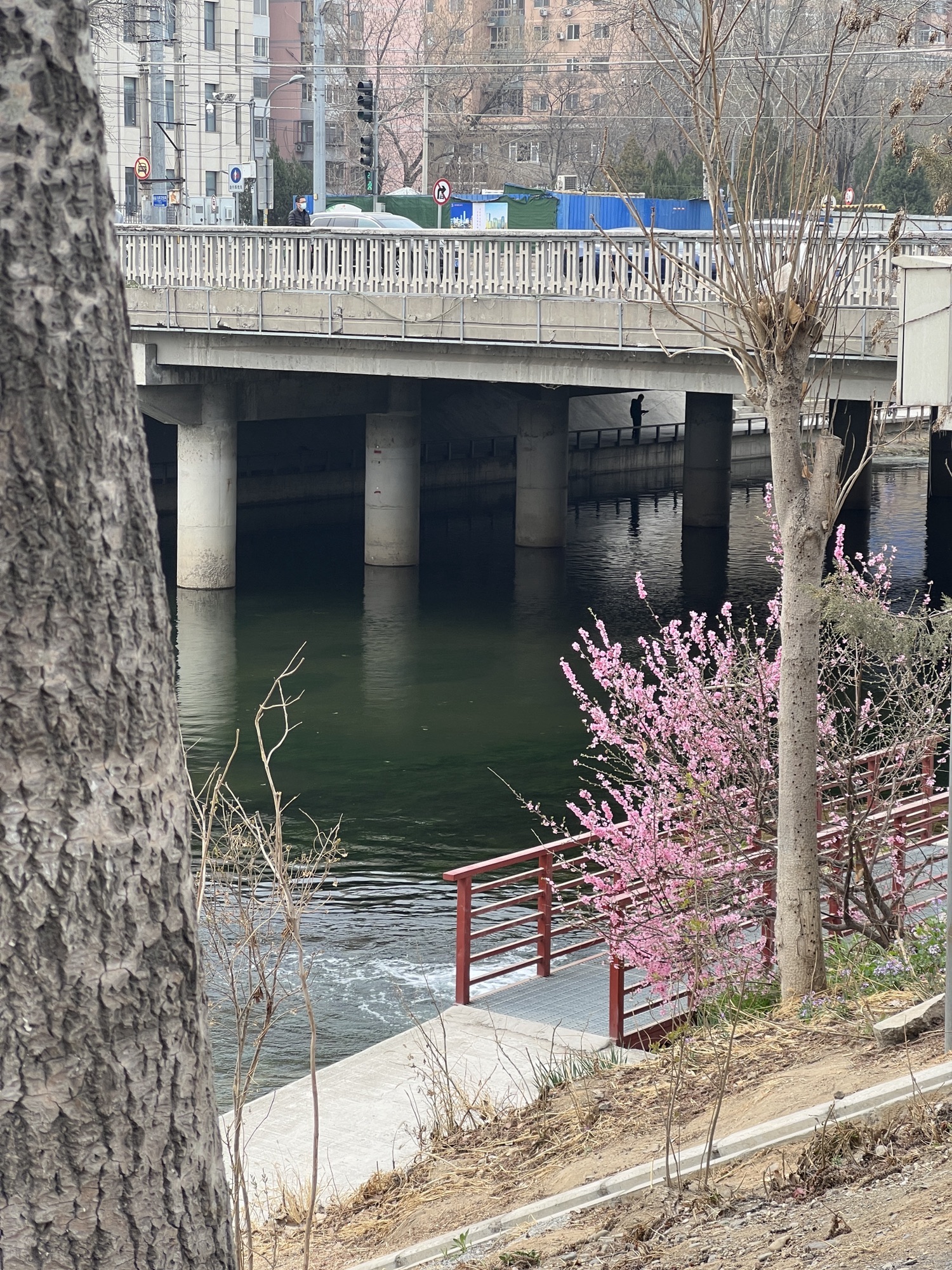 万芳亭公园旅行图片 2