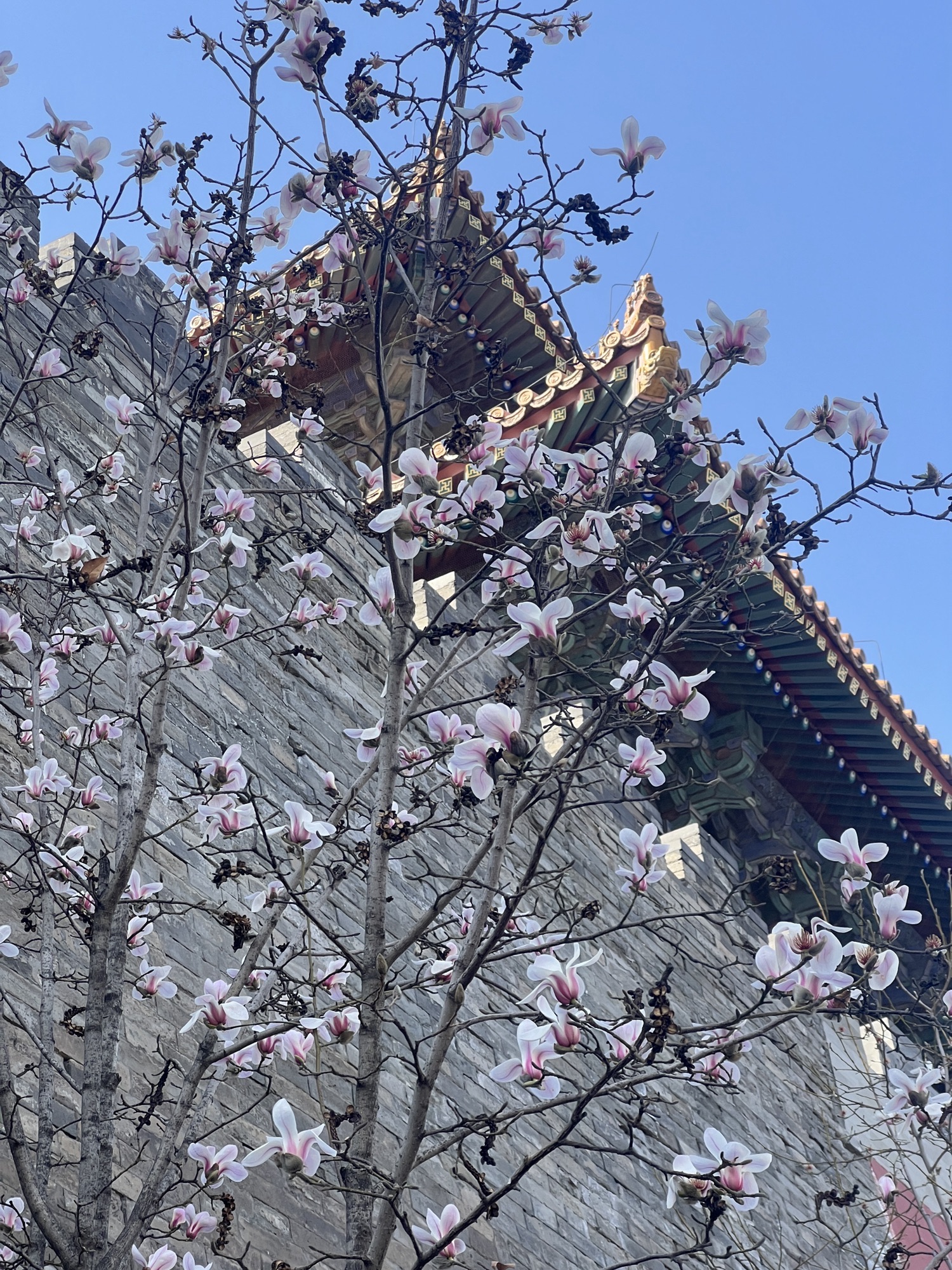 万芳亭公园旅行图片 3