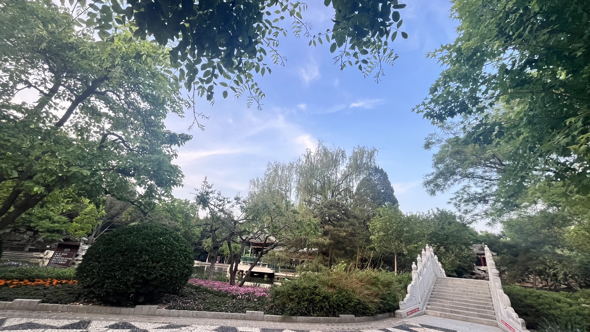 宣武艺园旅行图片 1