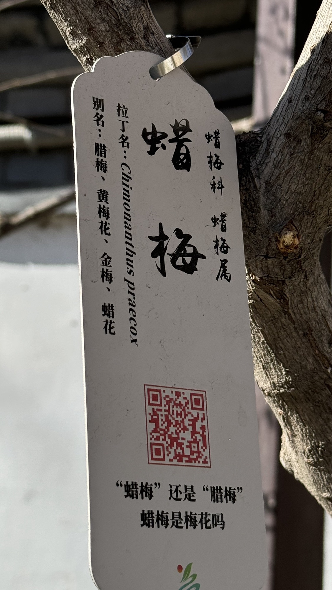 宣武艺园旅行图片 2