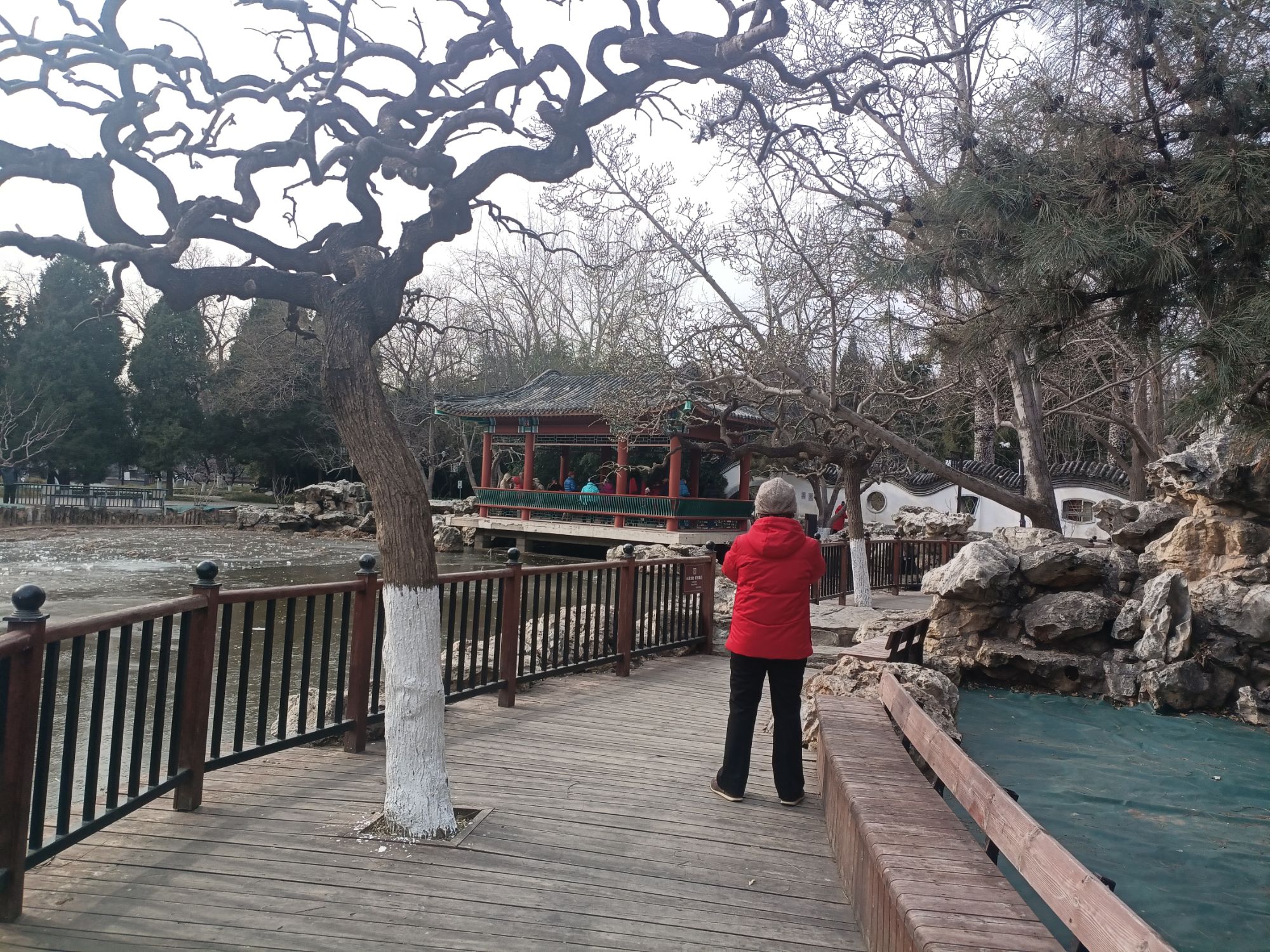 宣武艺园旅行图片 3