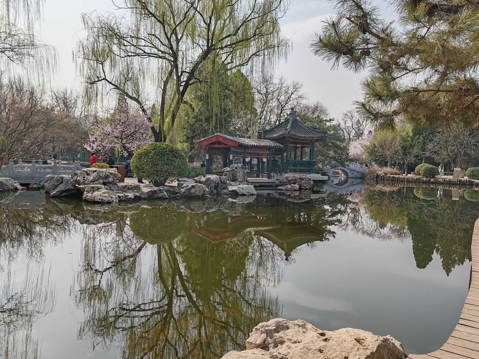 宣武艺园旅行图片 2