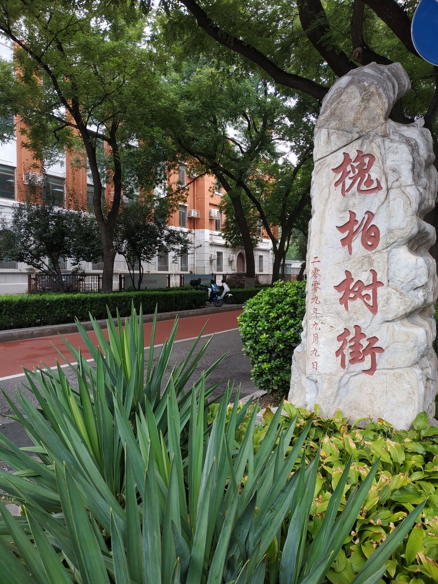 宣武艺园旅行图片 1
