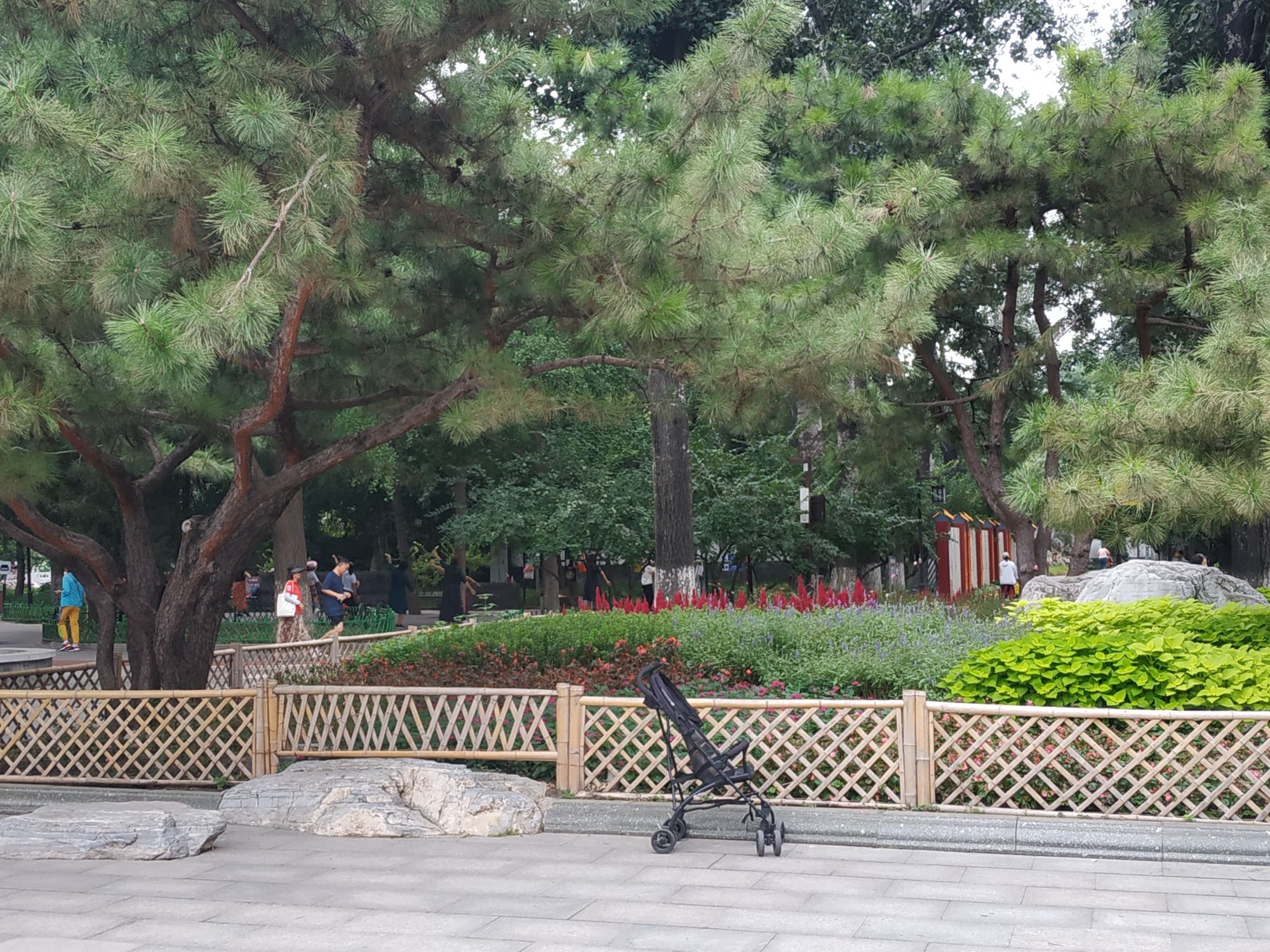 宣武艺园旅行图片 3