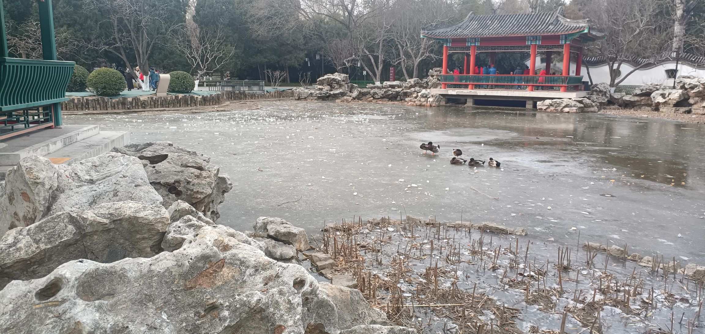 宣武艺园旅行图片 1