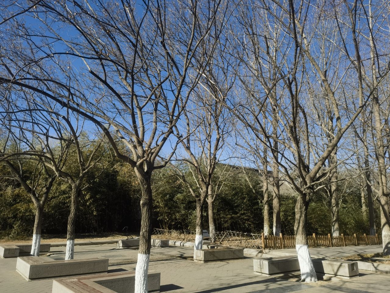 永定门公园旅行图片 3
