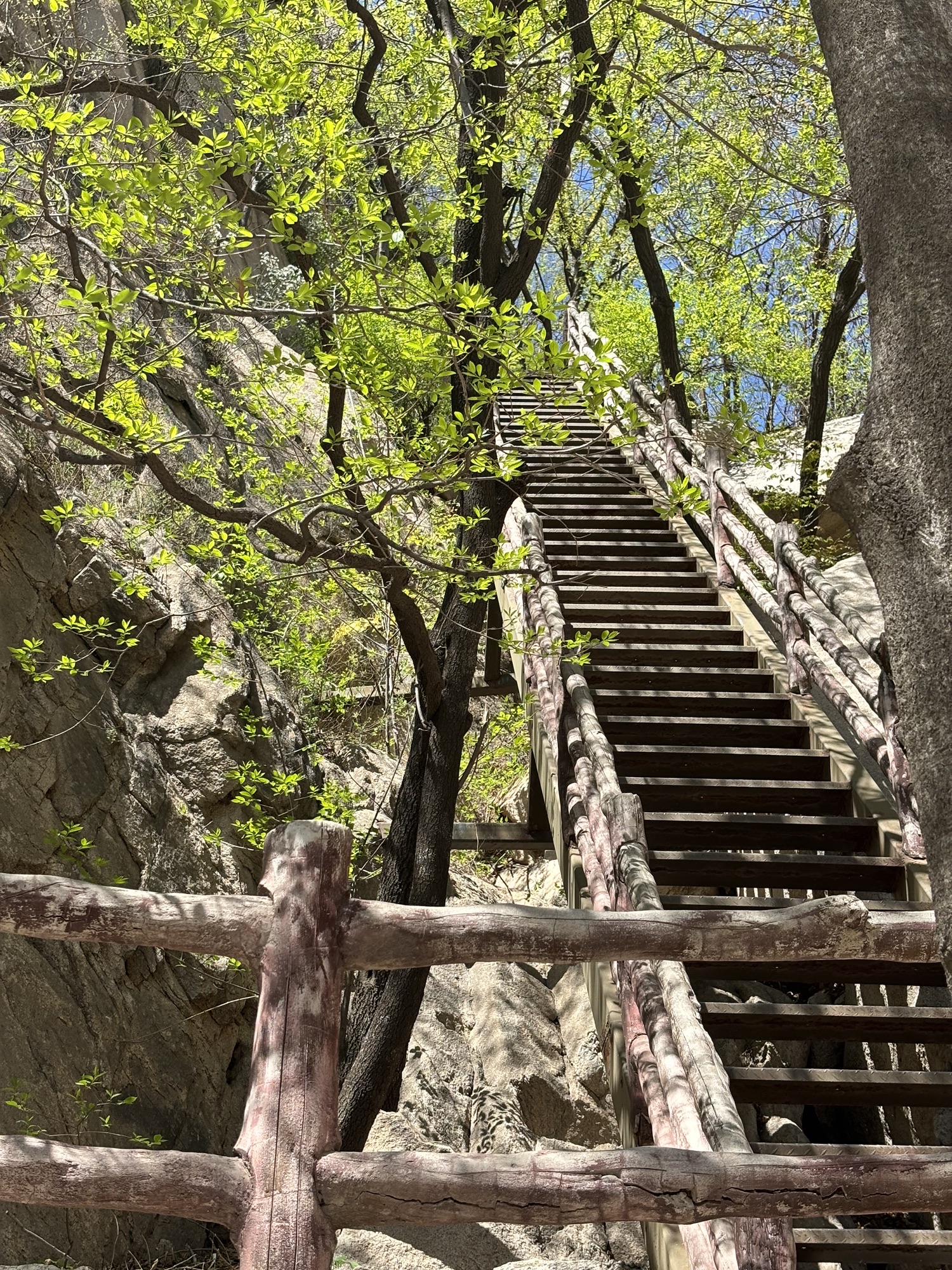 北京凤凰岭景区旅行图片 3