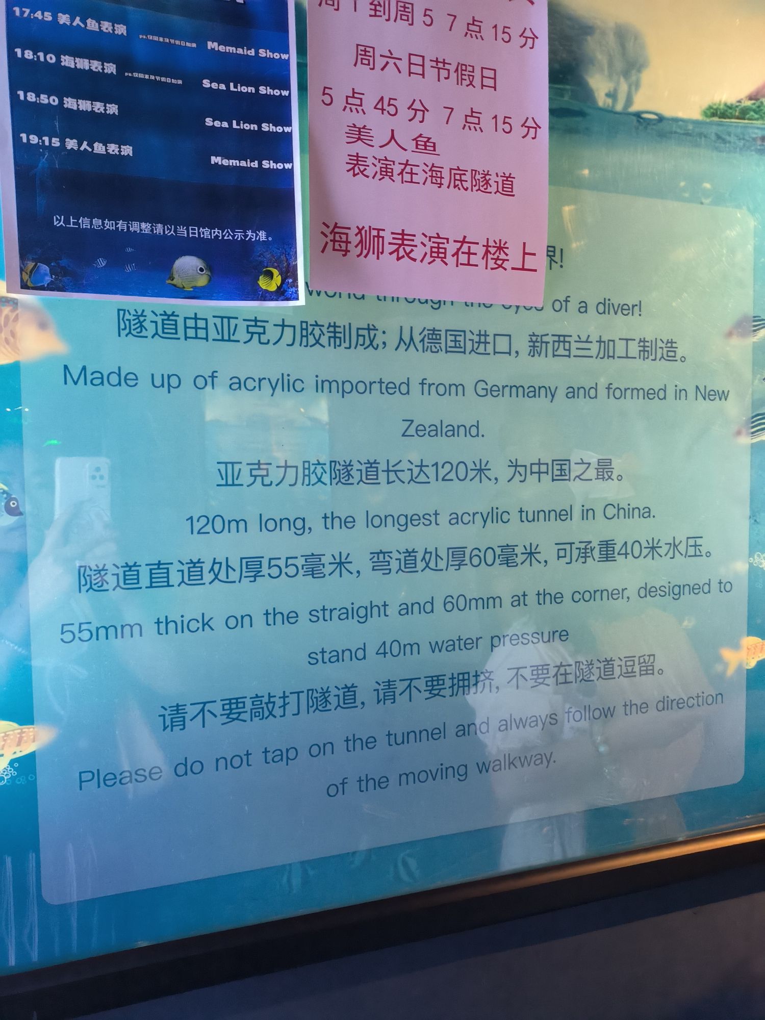 北京工体富国海底世界旅行图片 2