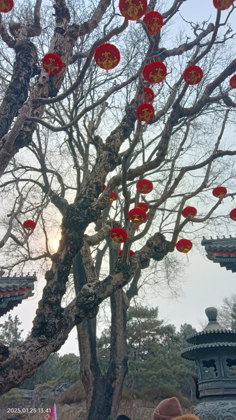 颐和园旅行图片 3