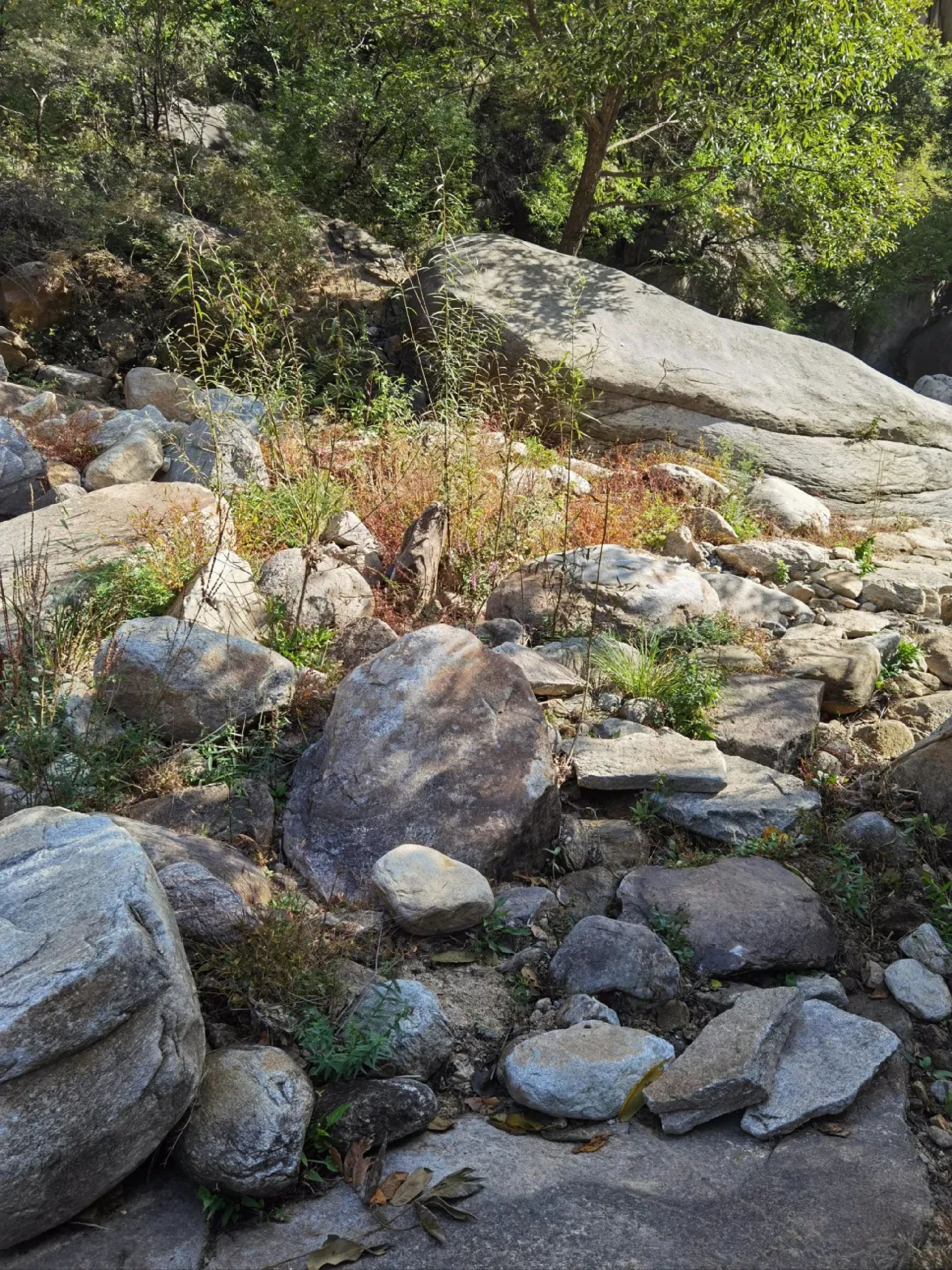 北京密云精灵谷自然风景区旅行图片 1
