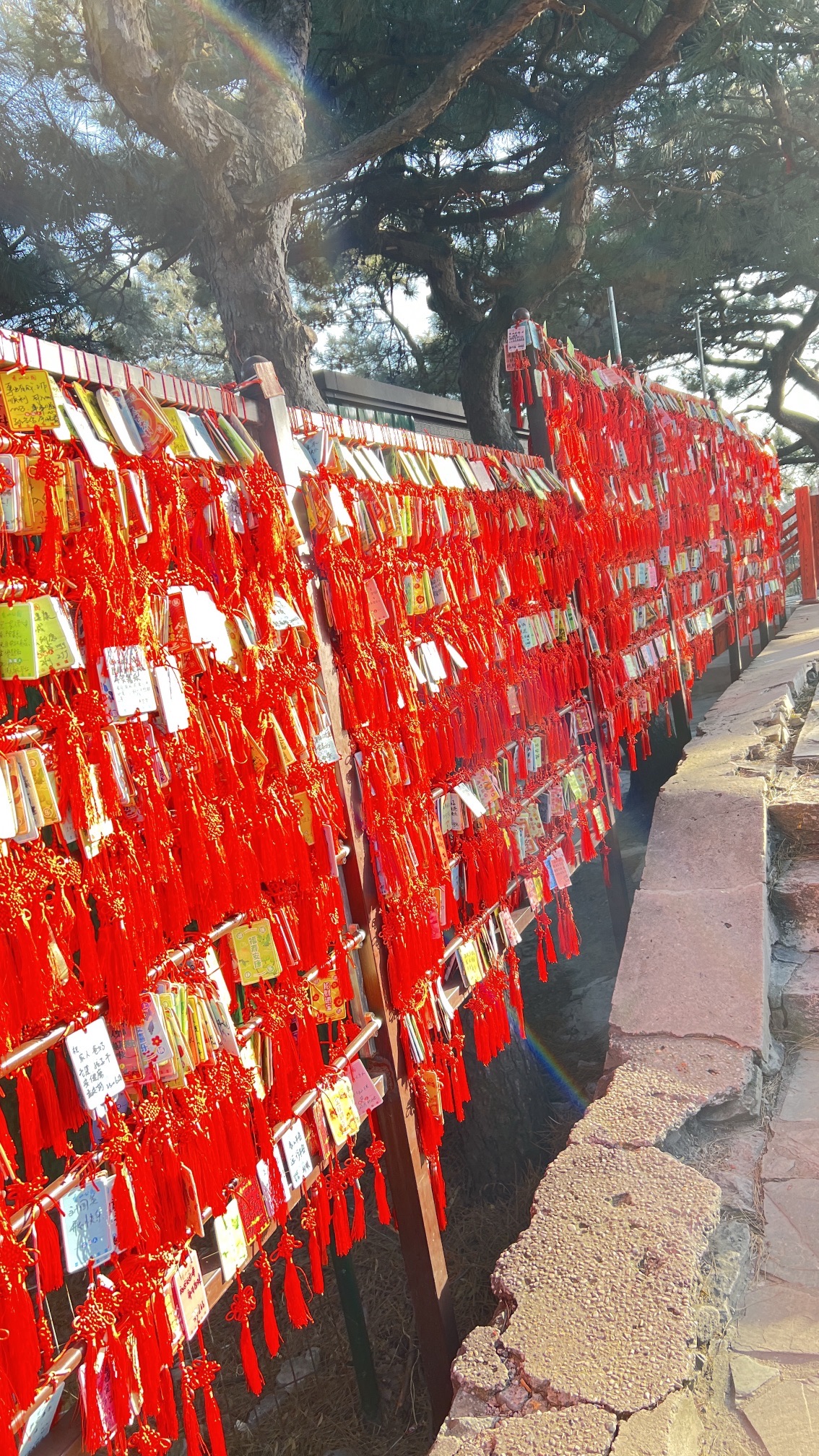 香山公园旅行图片 3