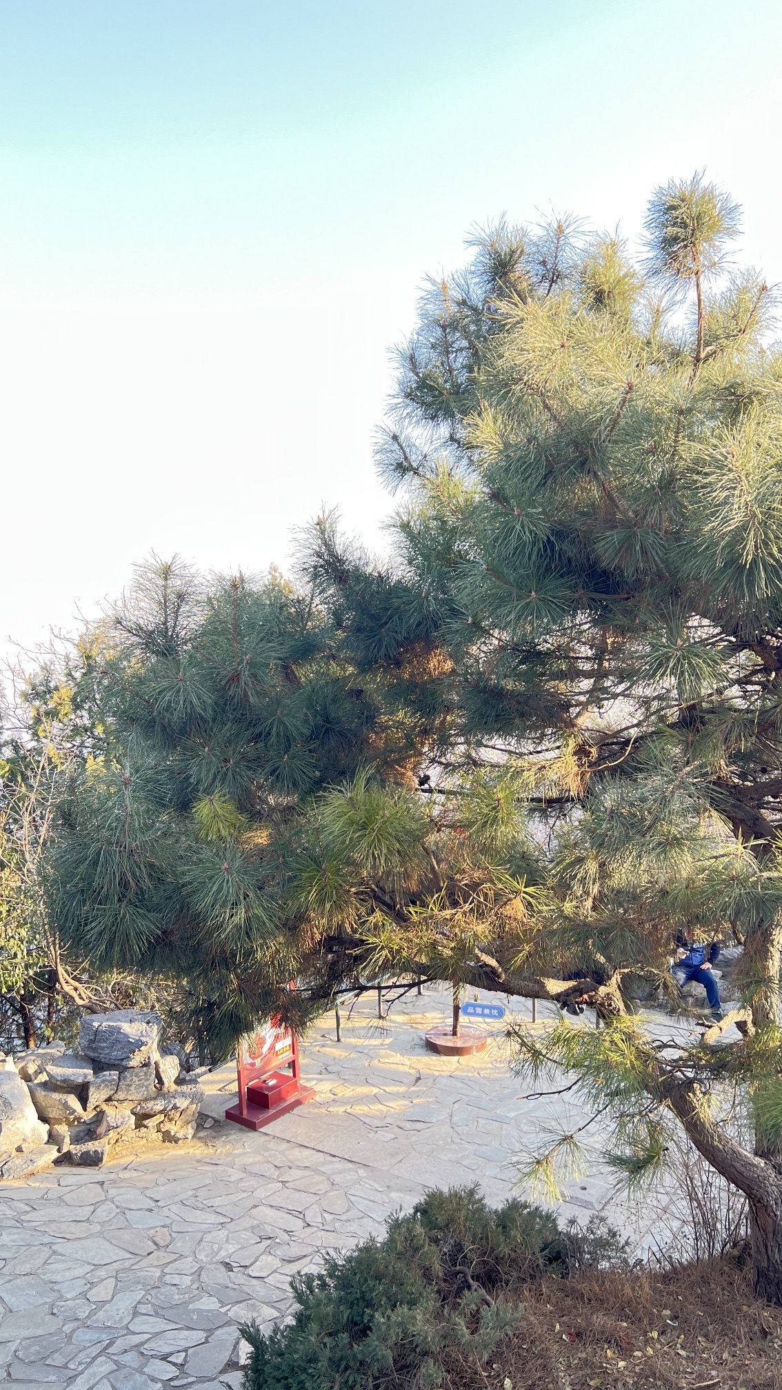 香山公园旅行图片 2