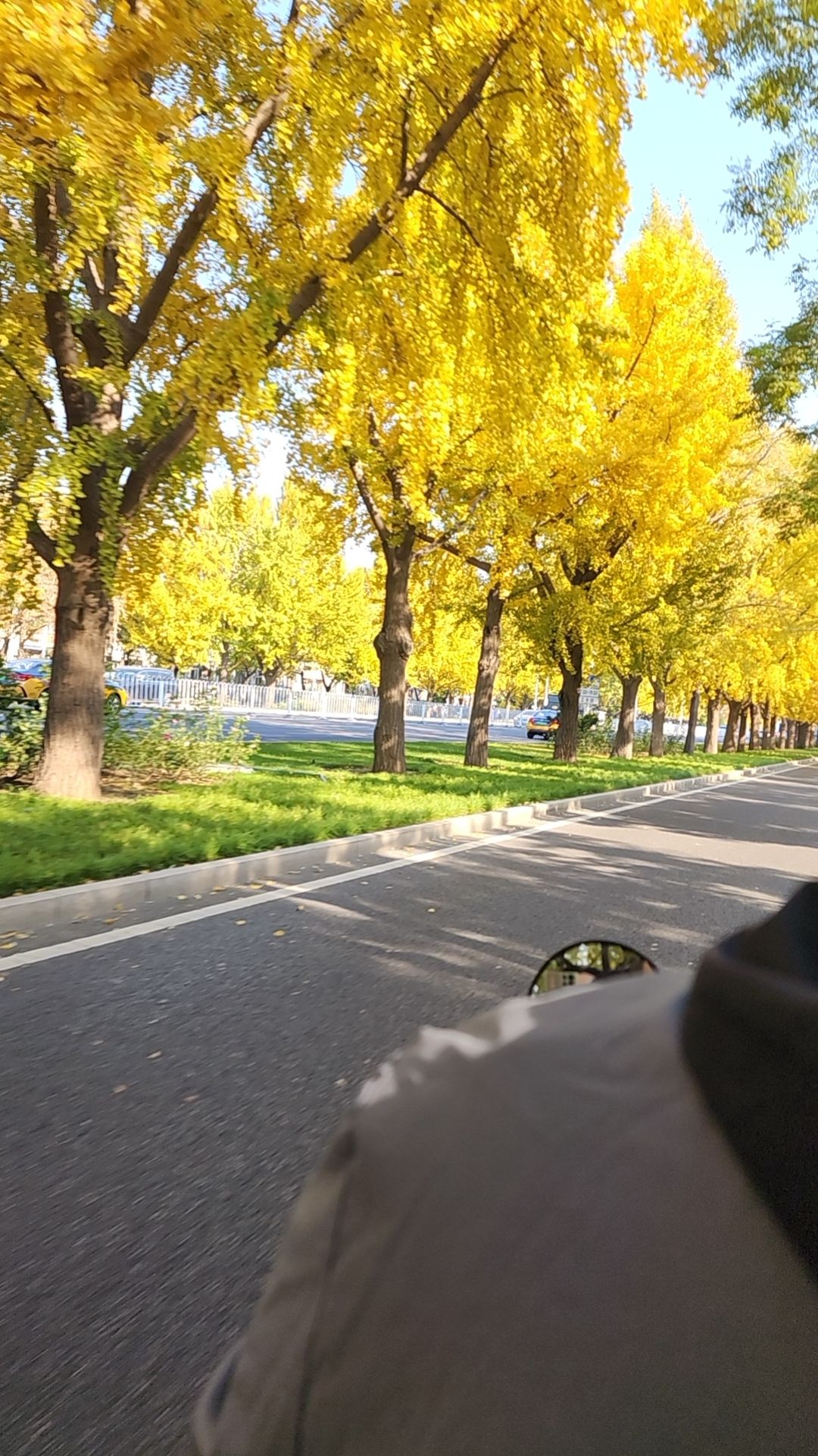 香山公园旅行图片
