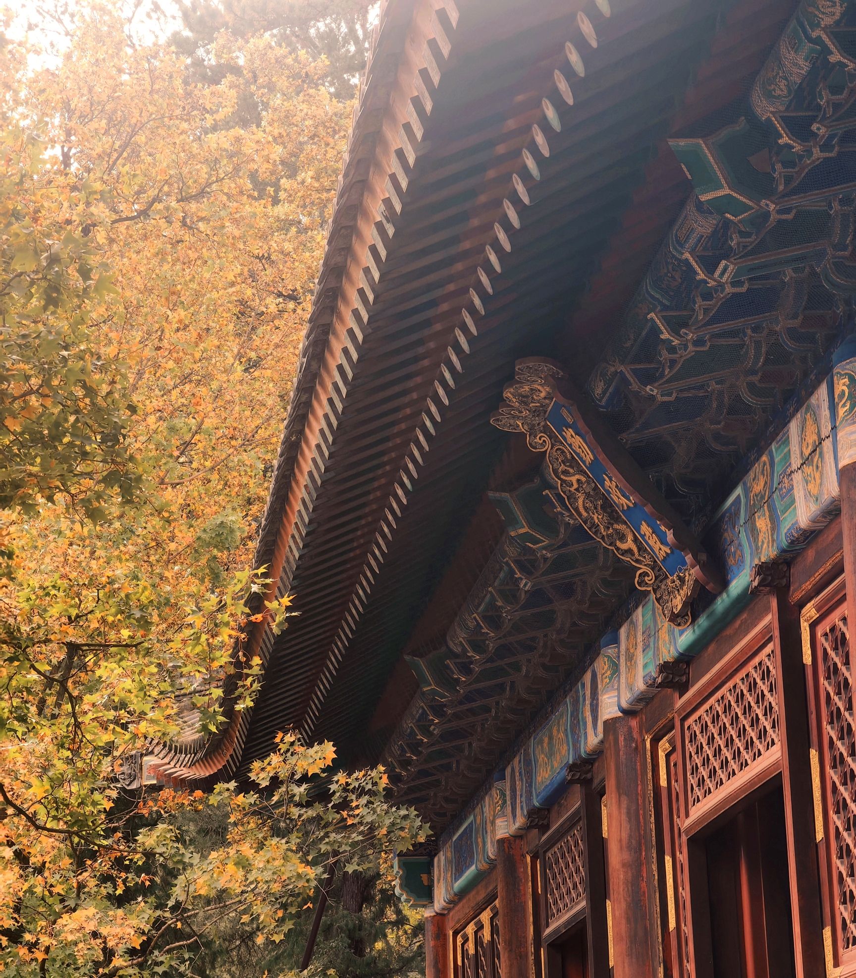 香山公园旅行图片