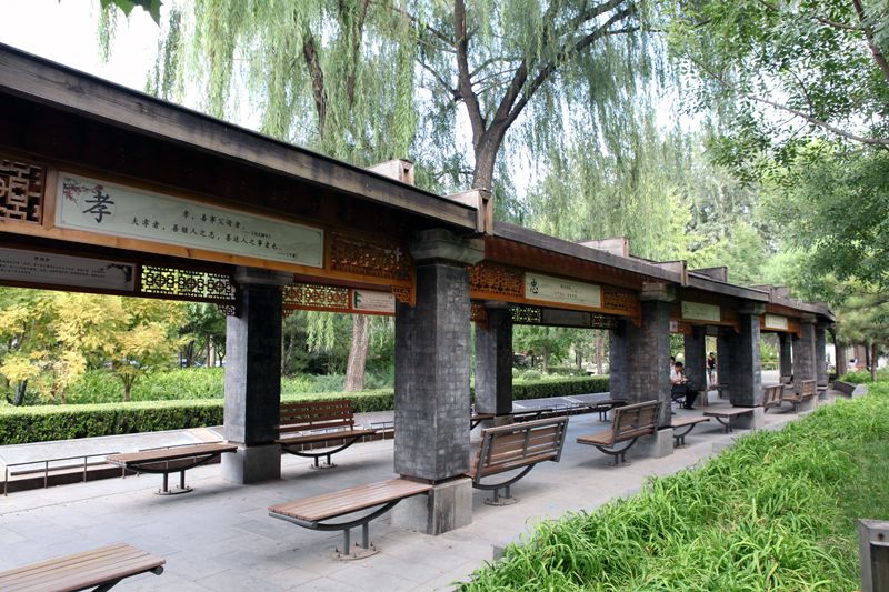 安贞社区公园旅行图片 2