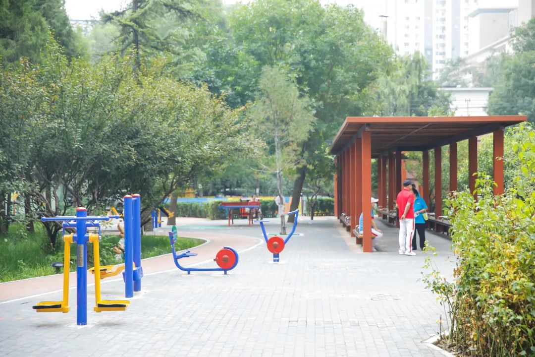 安贞社区公园旅行图片 3
