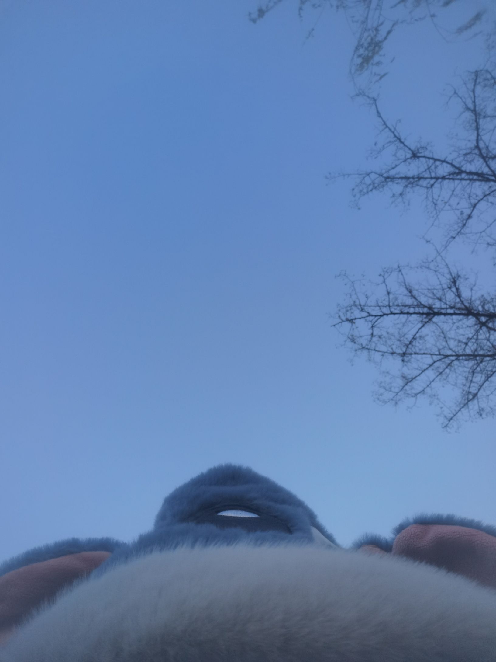 百泉公园旅行图片 1