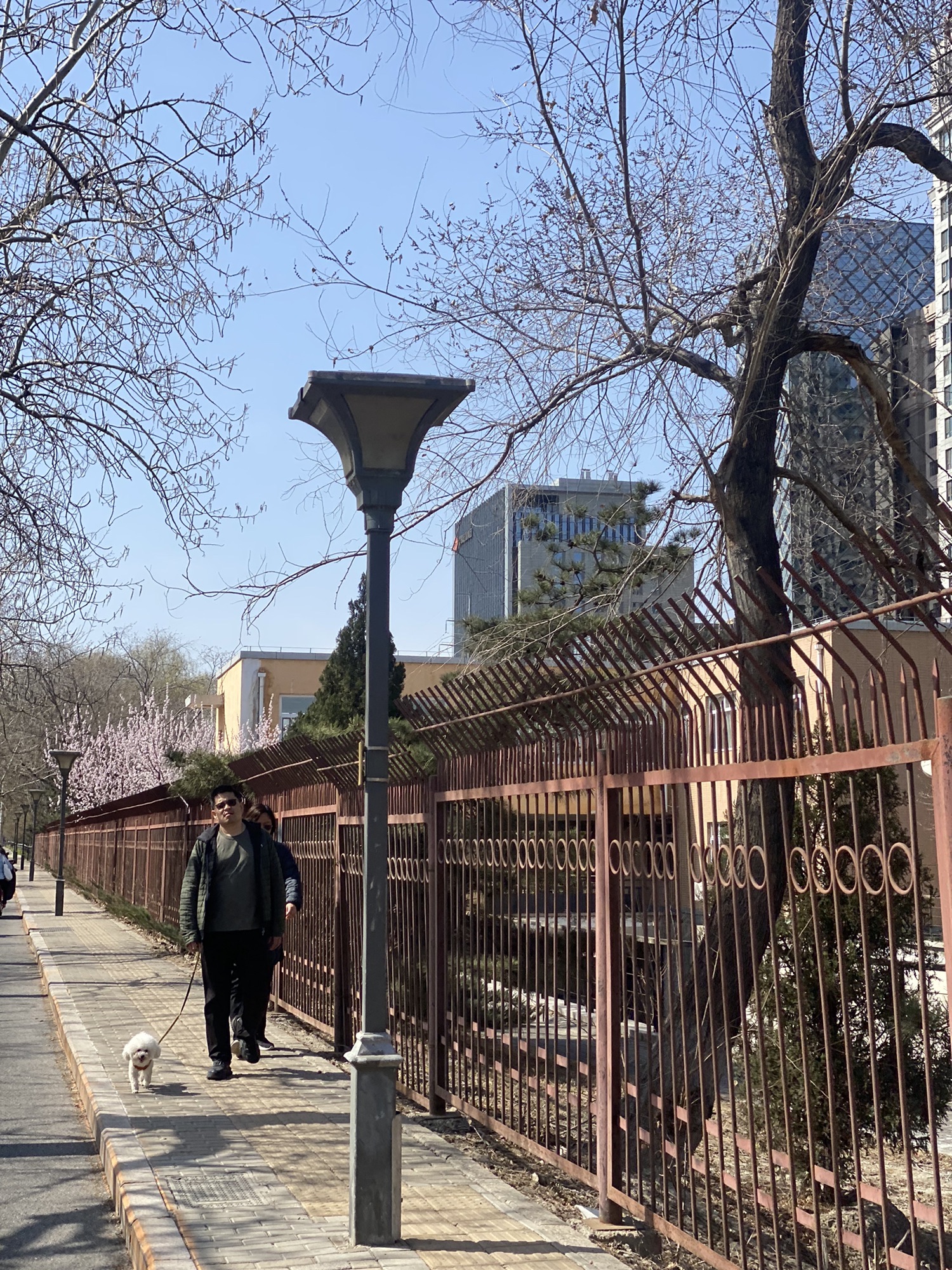 北二环城市公园旅行图片 3