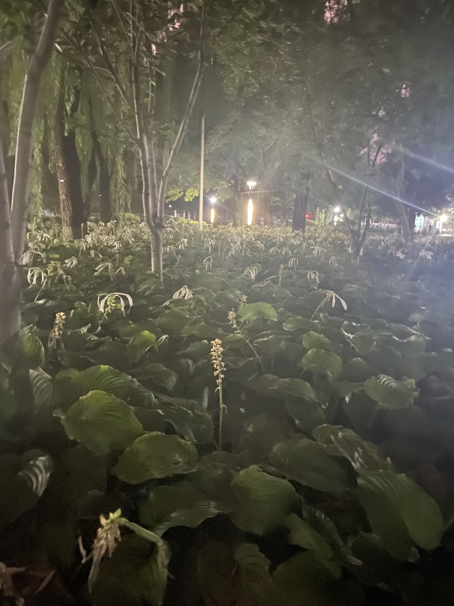 滨湖万米健身公园旅行图片 2