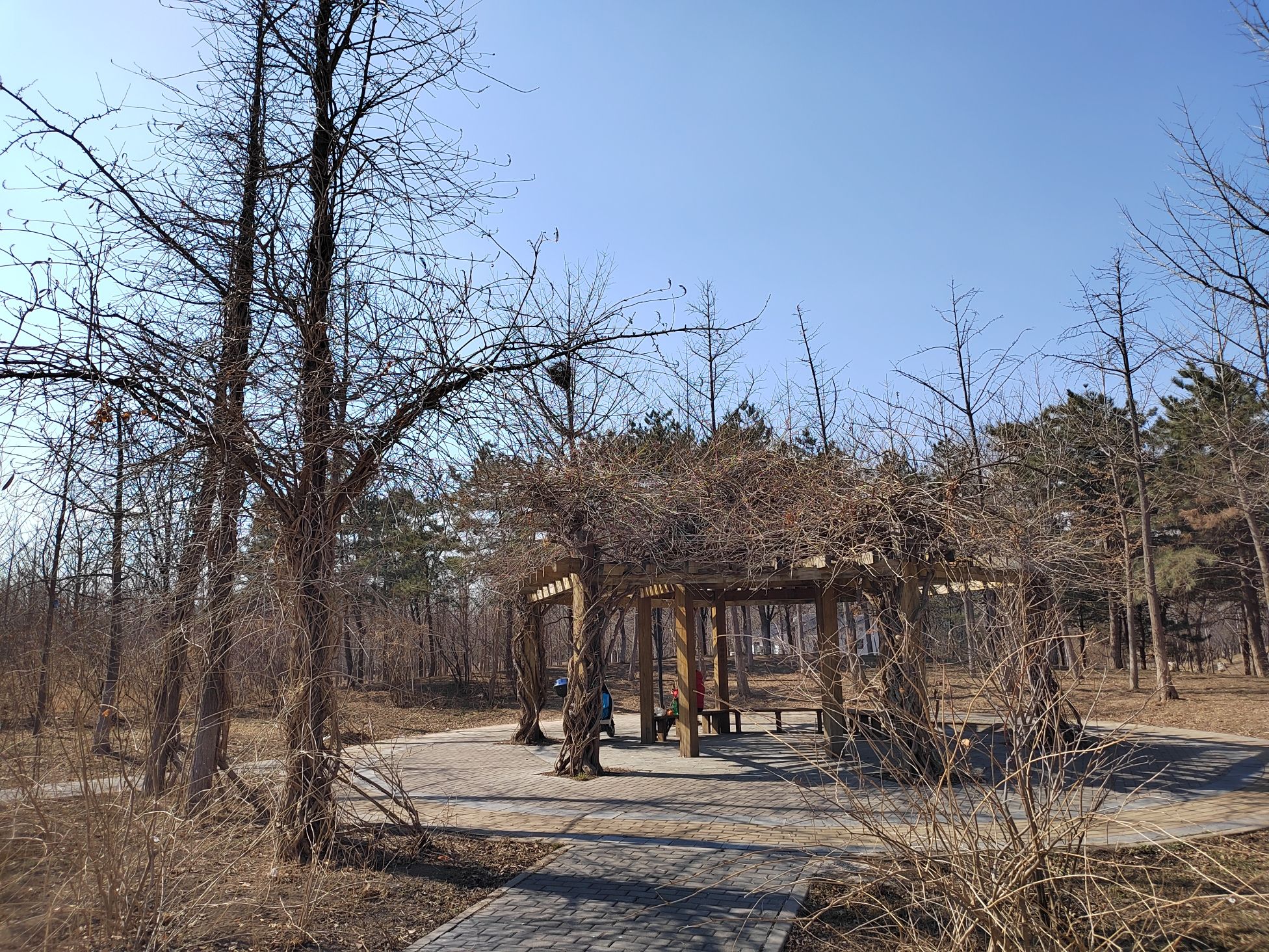 常营马拉松体育公园旅行图片 3