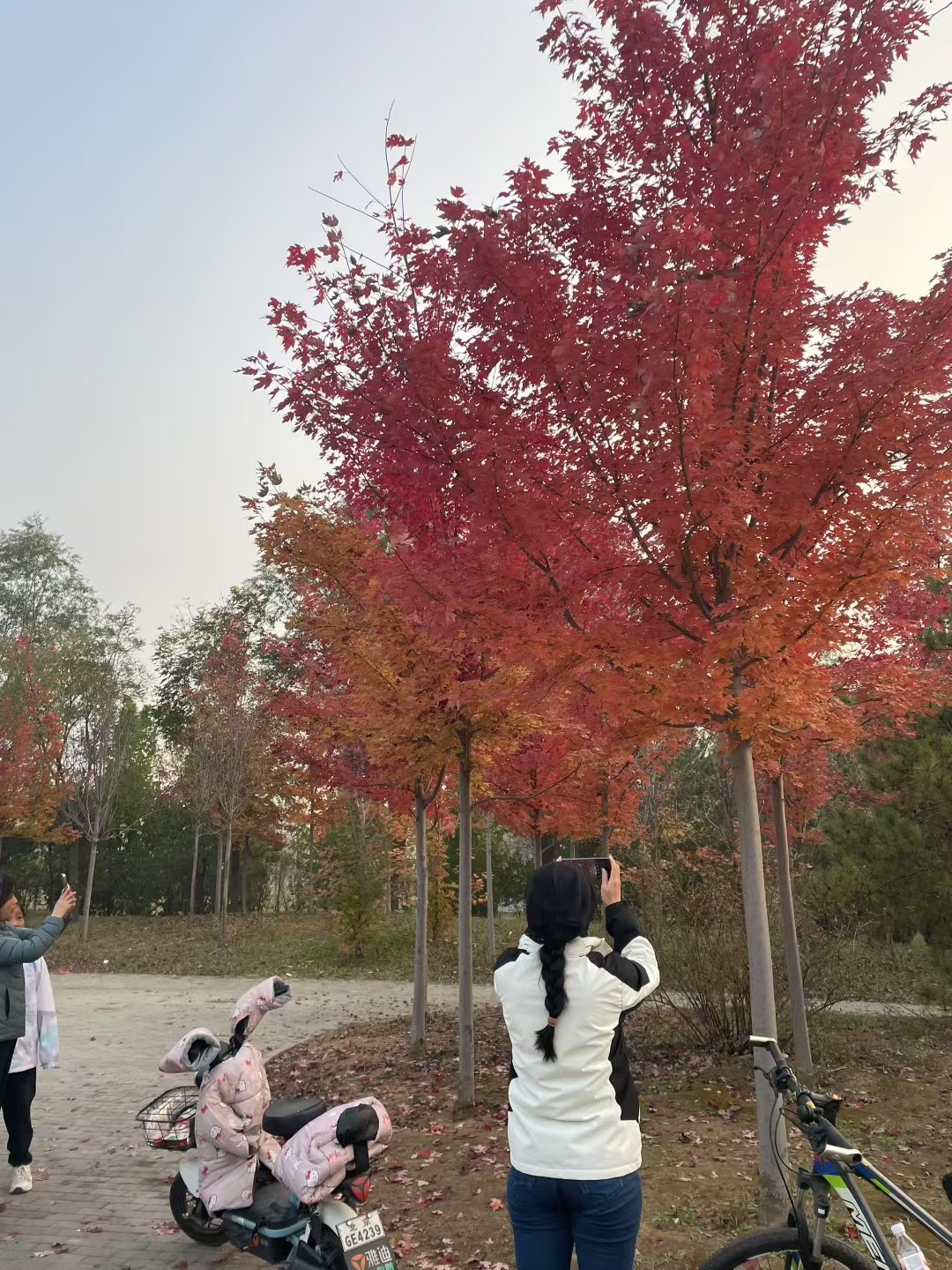 常营马拉松体育公园旅行图片 2