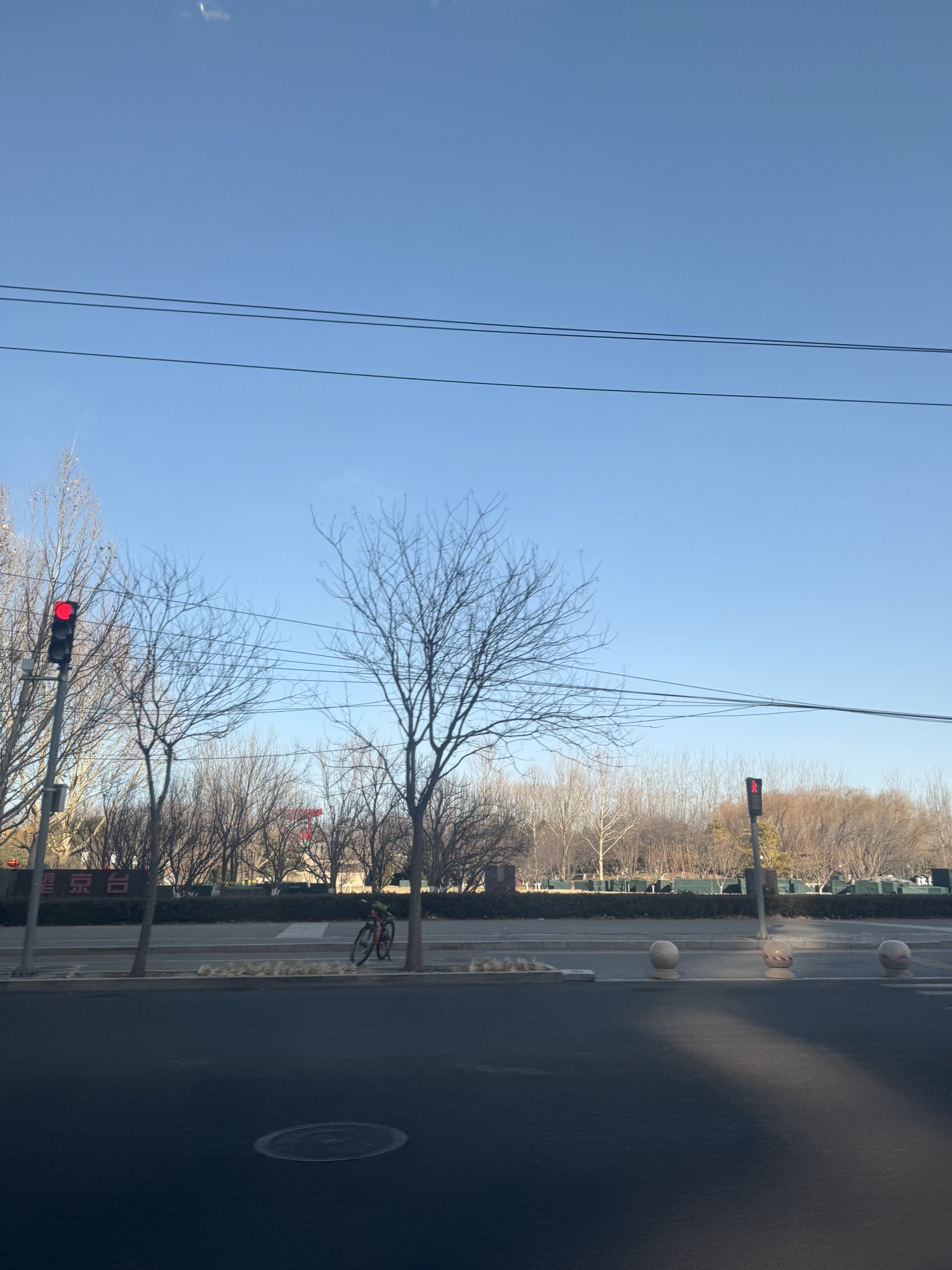 望京公园旅行图片 1