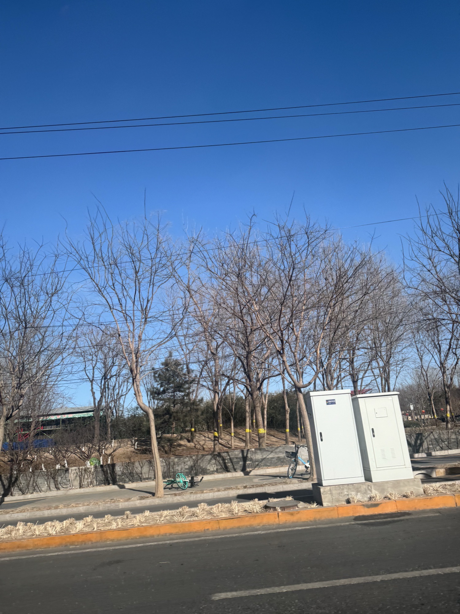 望京公园旅行图片 3