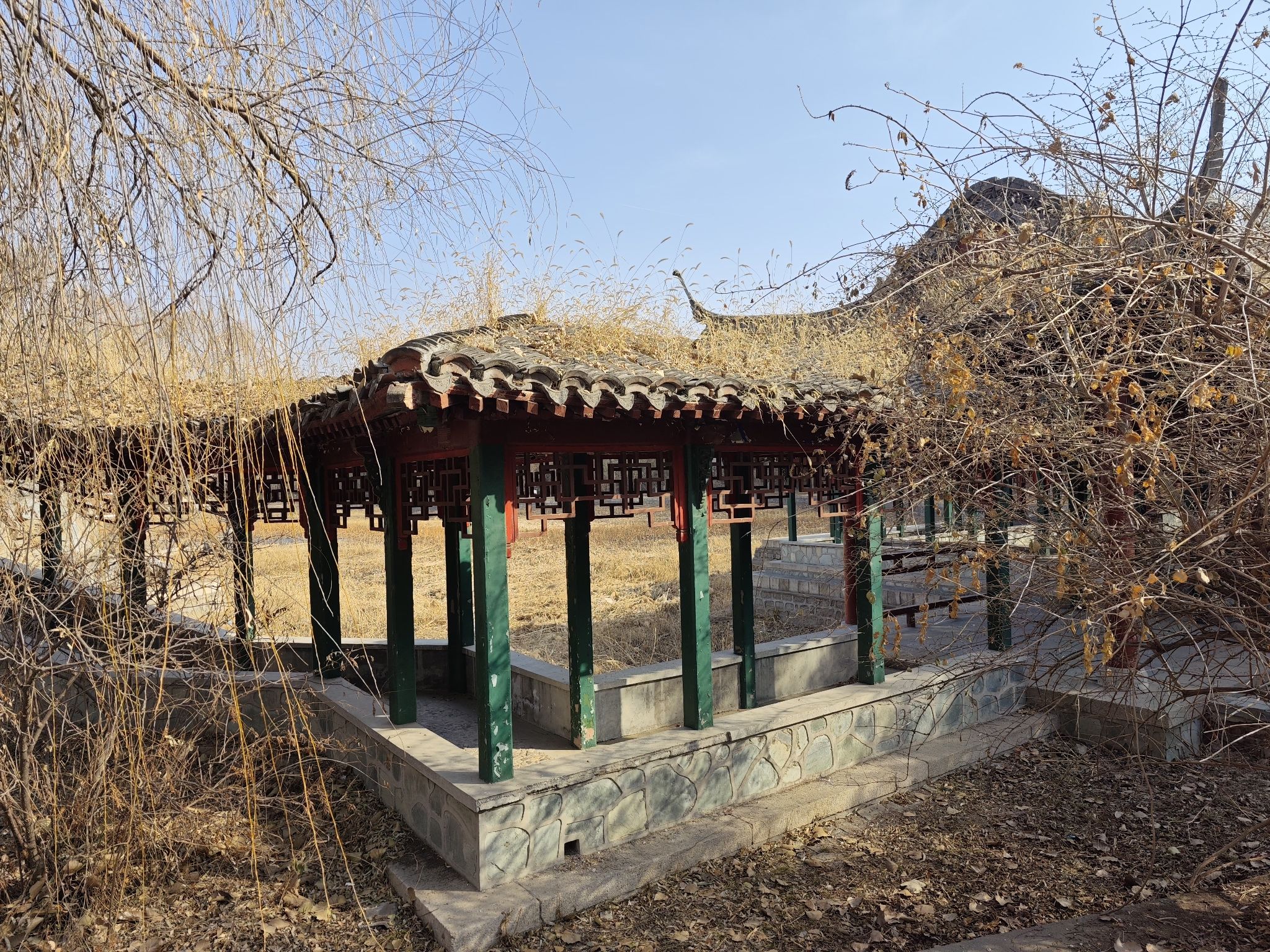 望京公园旅行图片 1