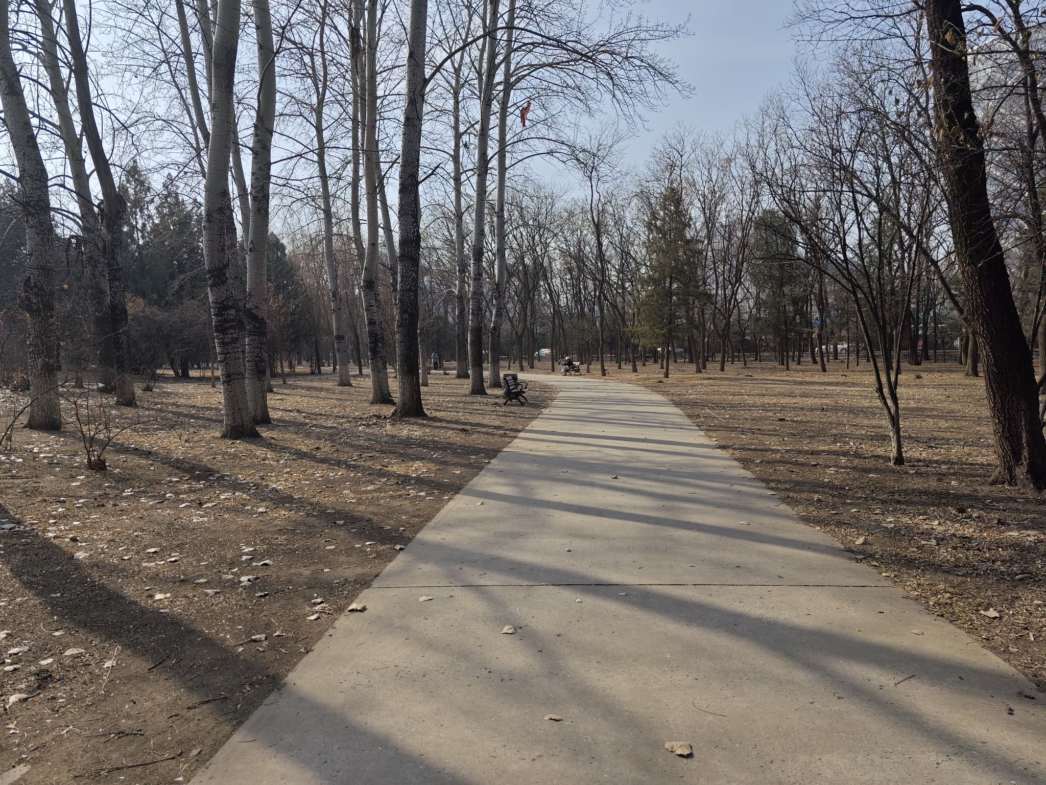 望京公园旅行图片 3