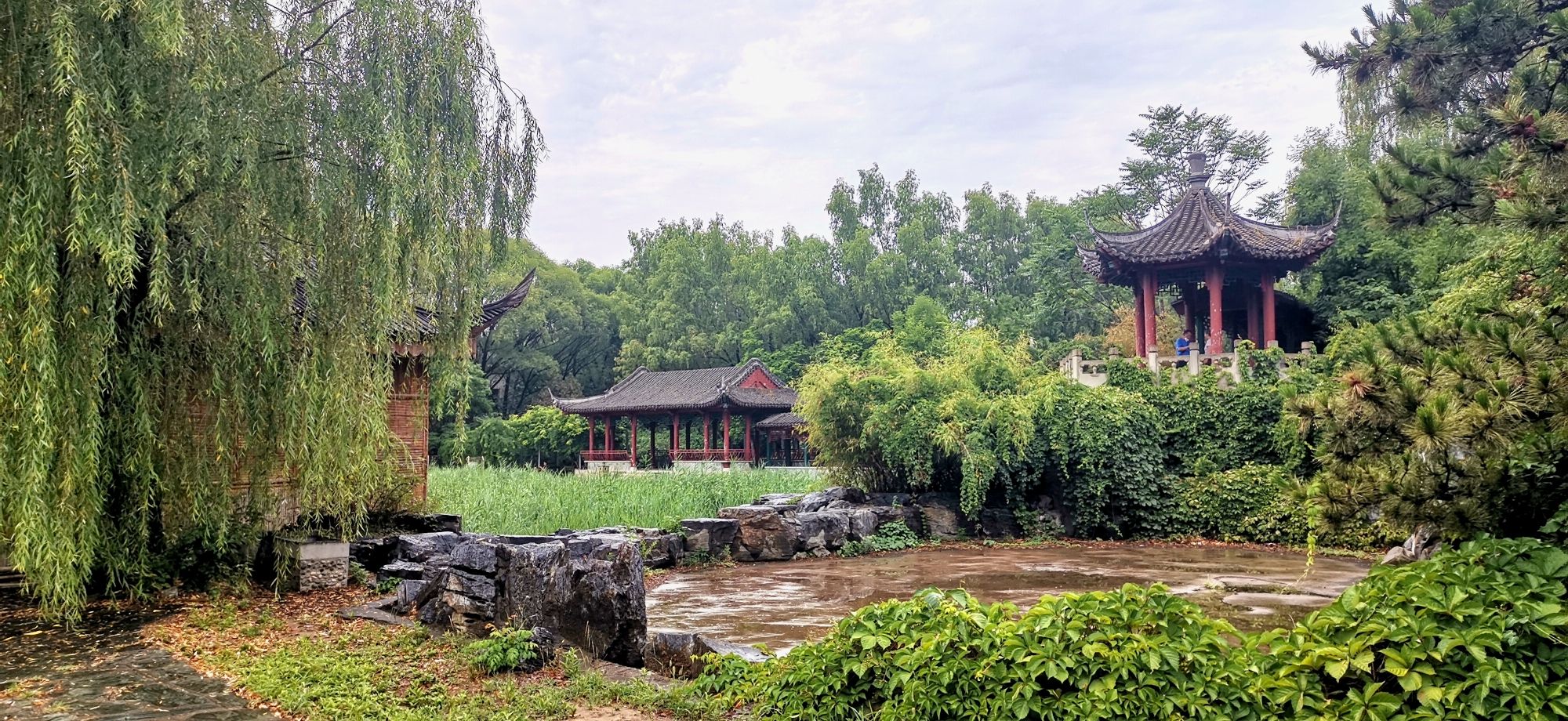 望京公园旅行图片 2
