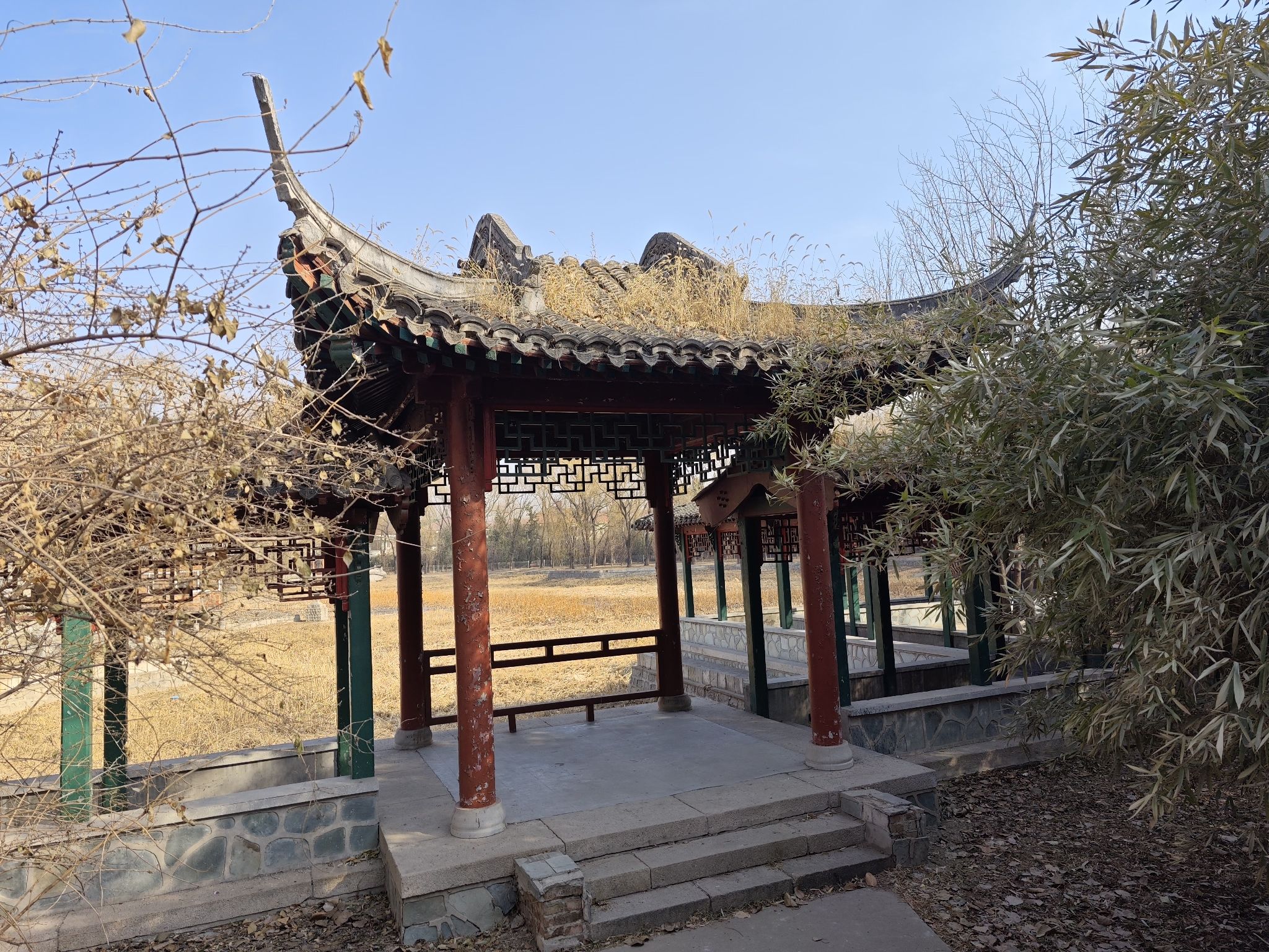 望京公园旅行图片 2