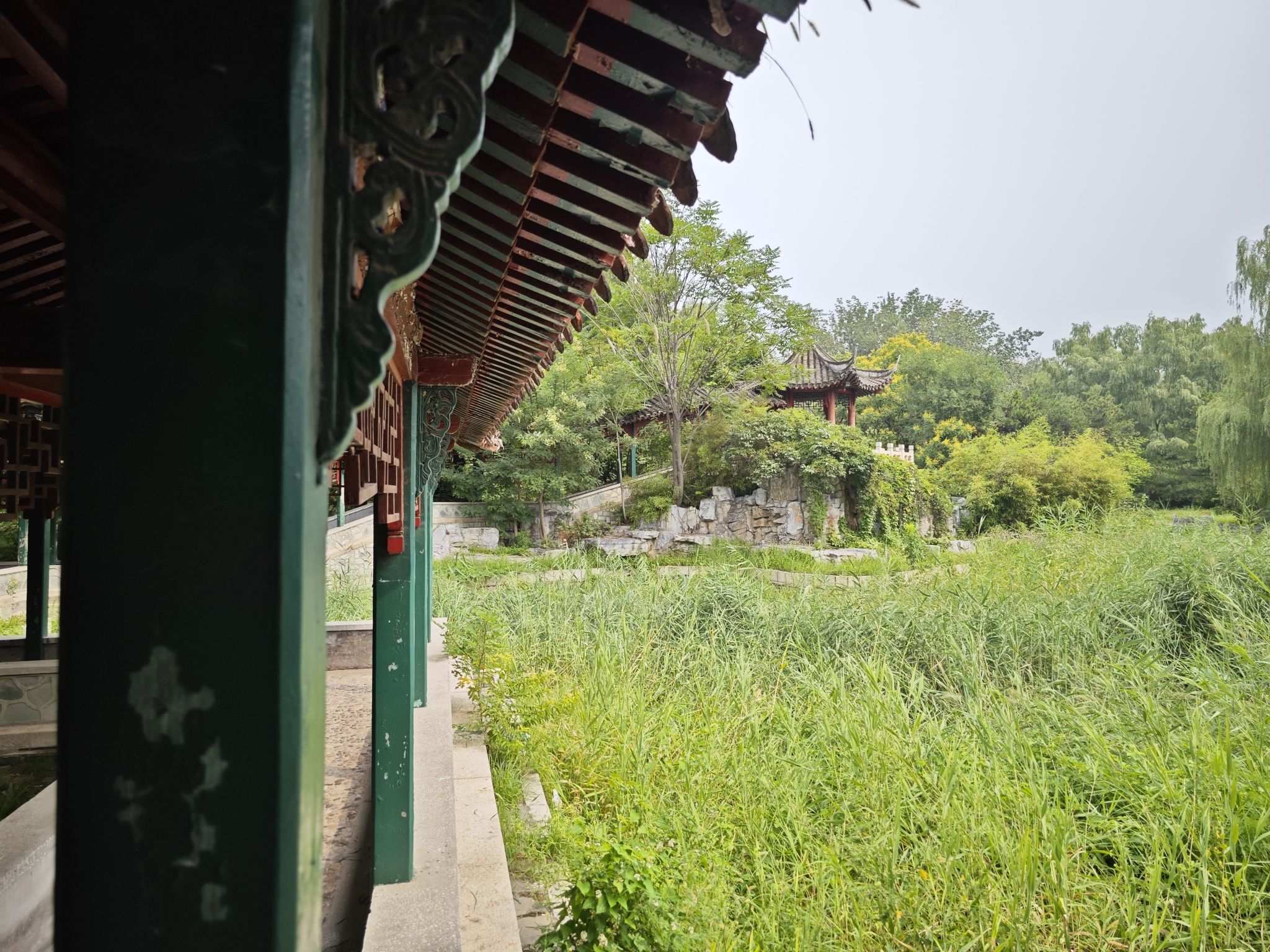 望京公园旅行图片 3