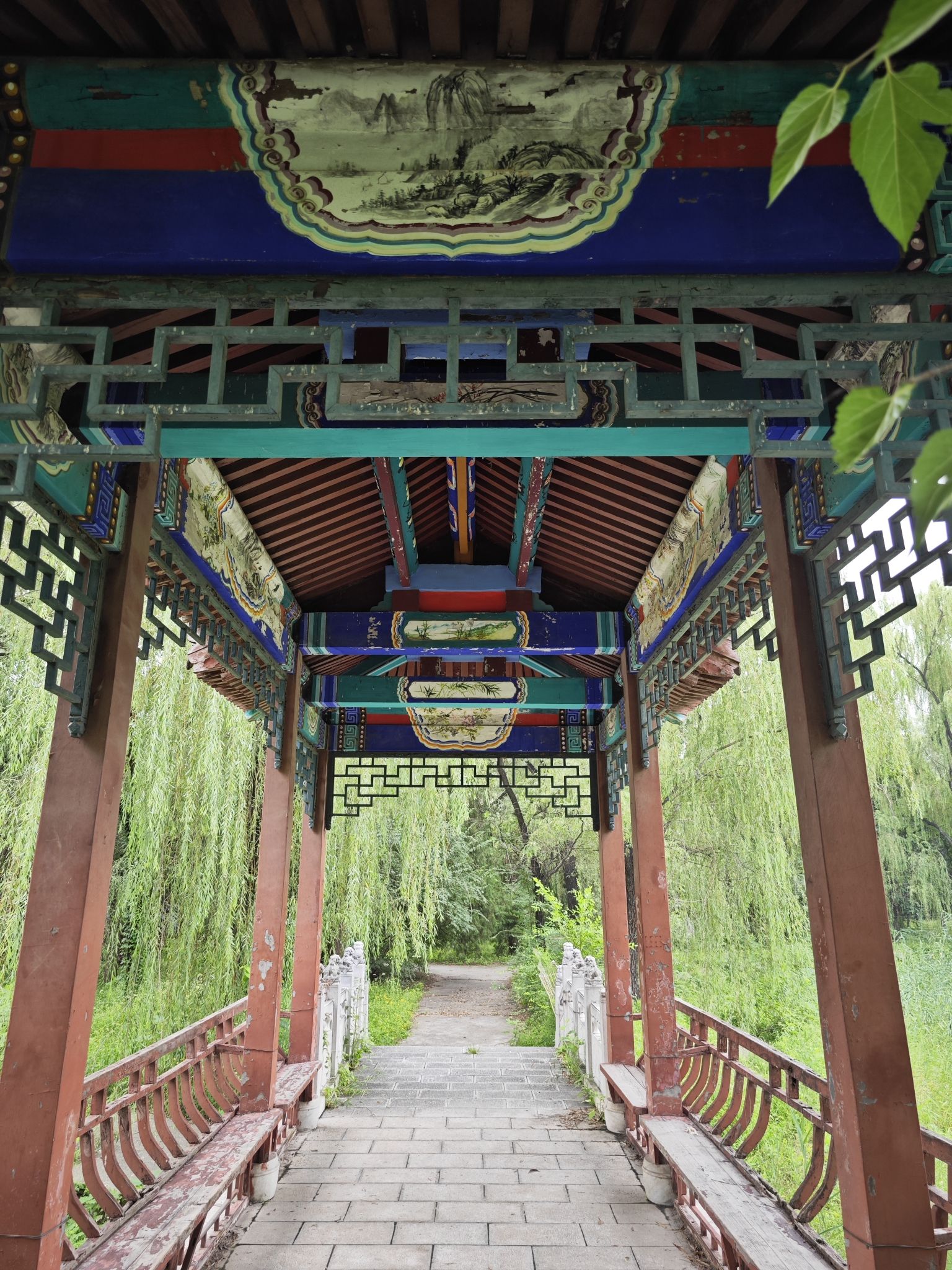 望京公园旅行图片 2