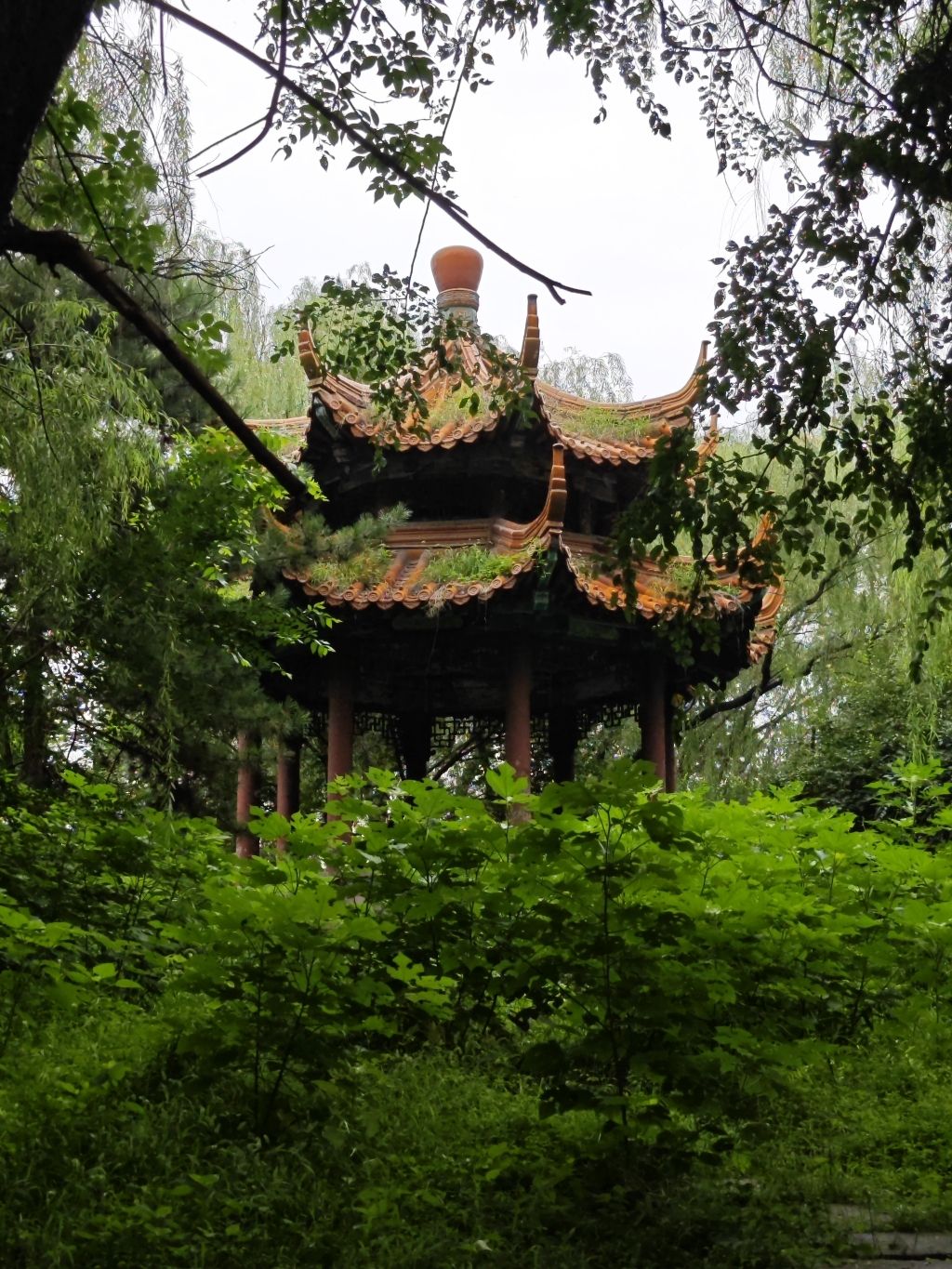 望京公园旅行图片 1