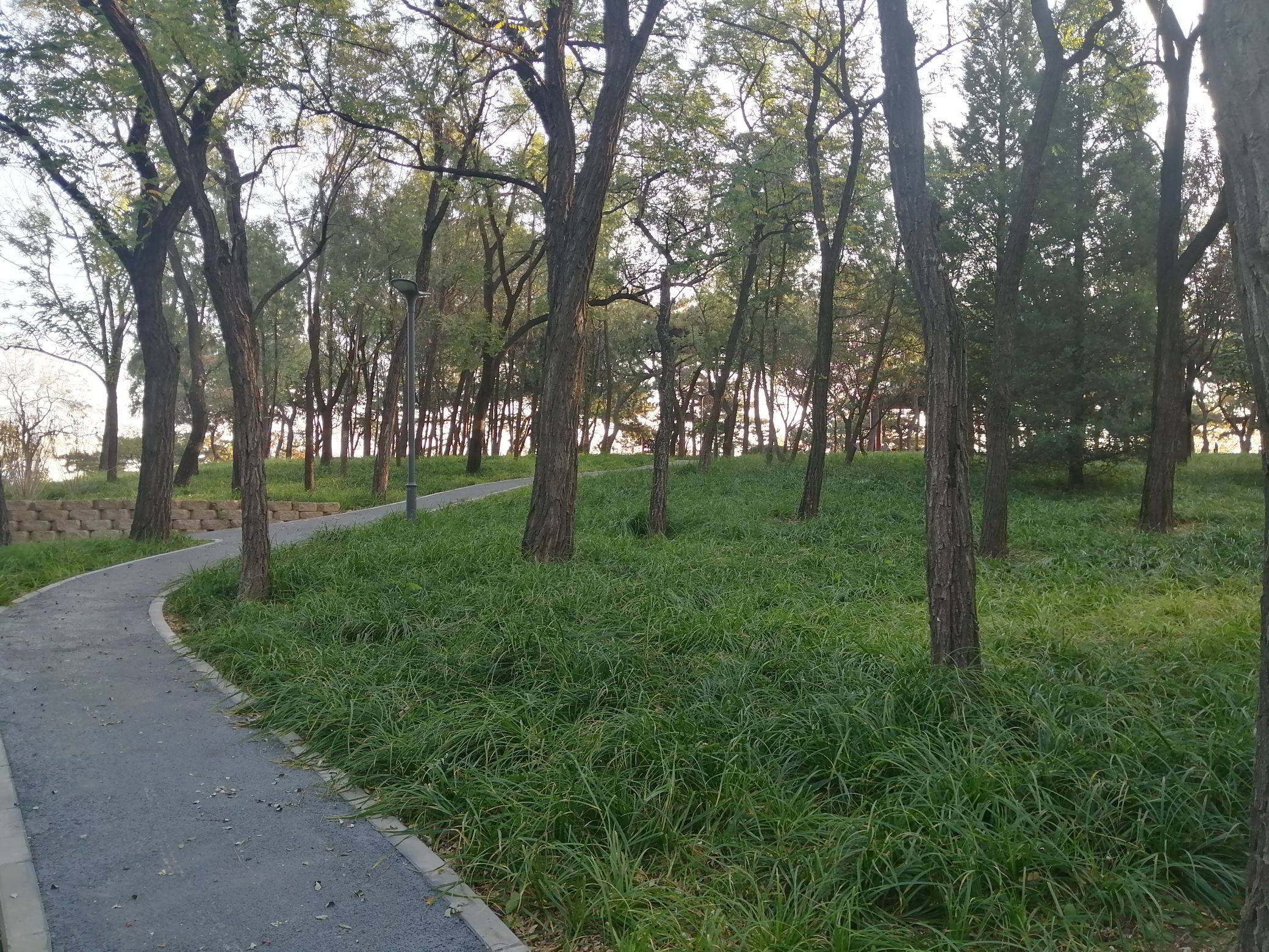 长辛店二七公园旅行图片 3