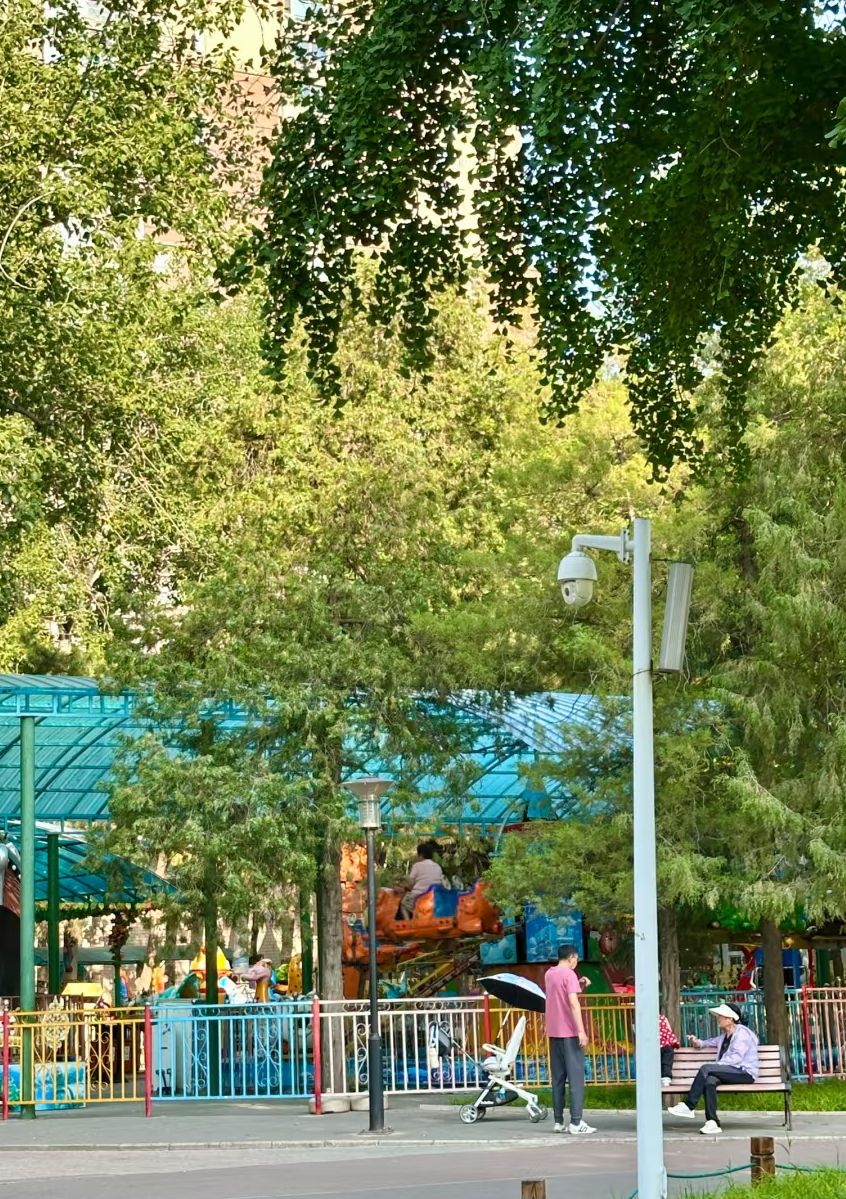 红领巾公园旅行图片 1