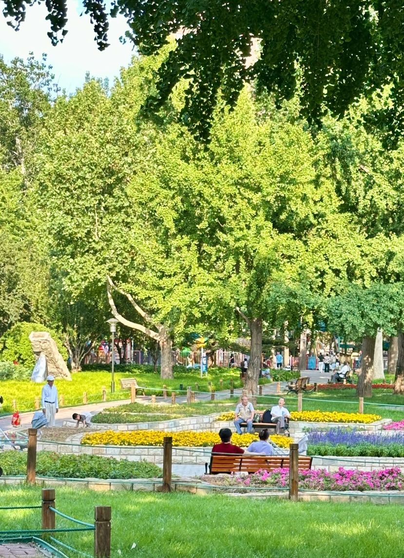 红领巾公园旅行图片 2