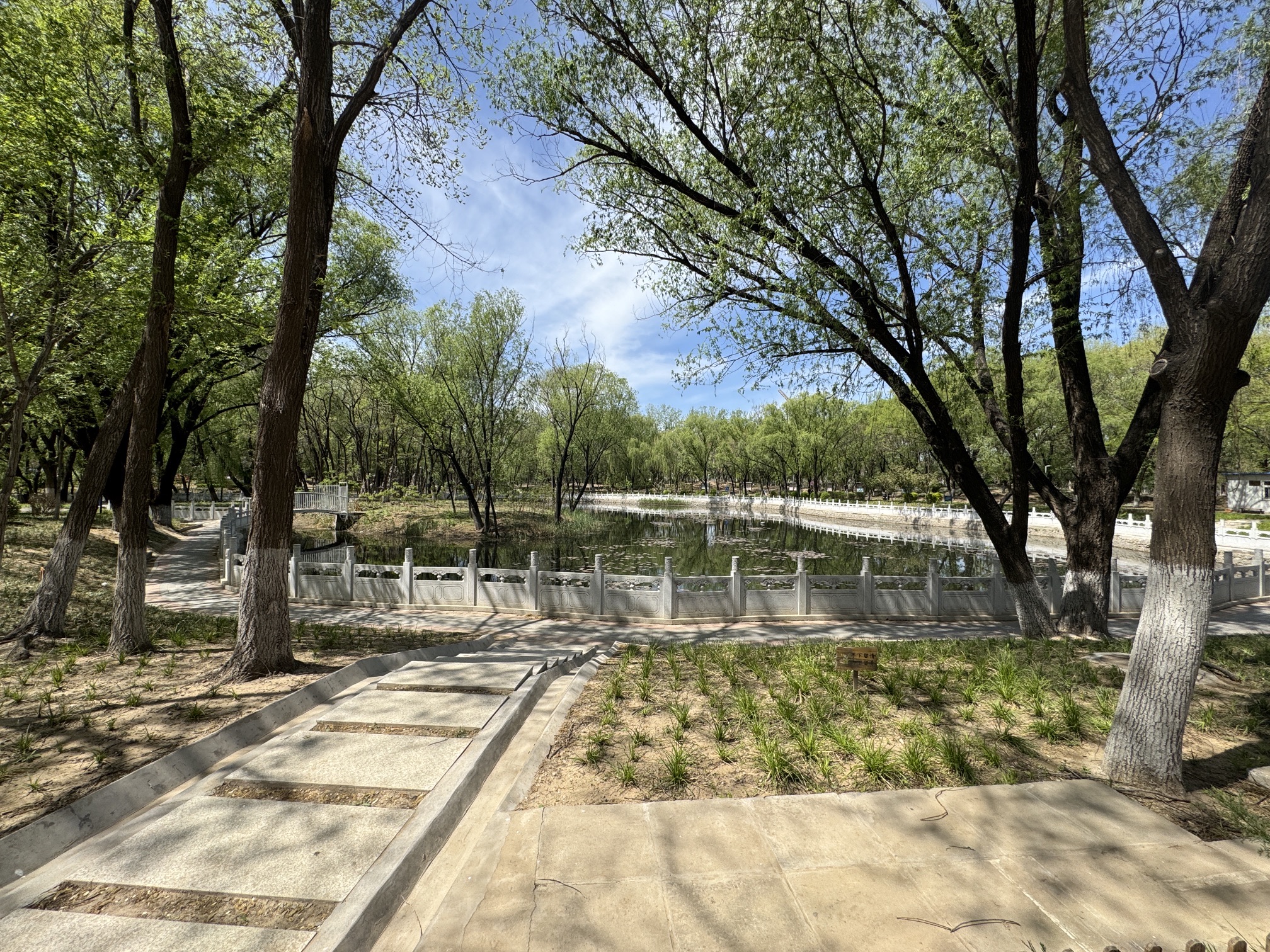 黄渠公园旅行图片 1