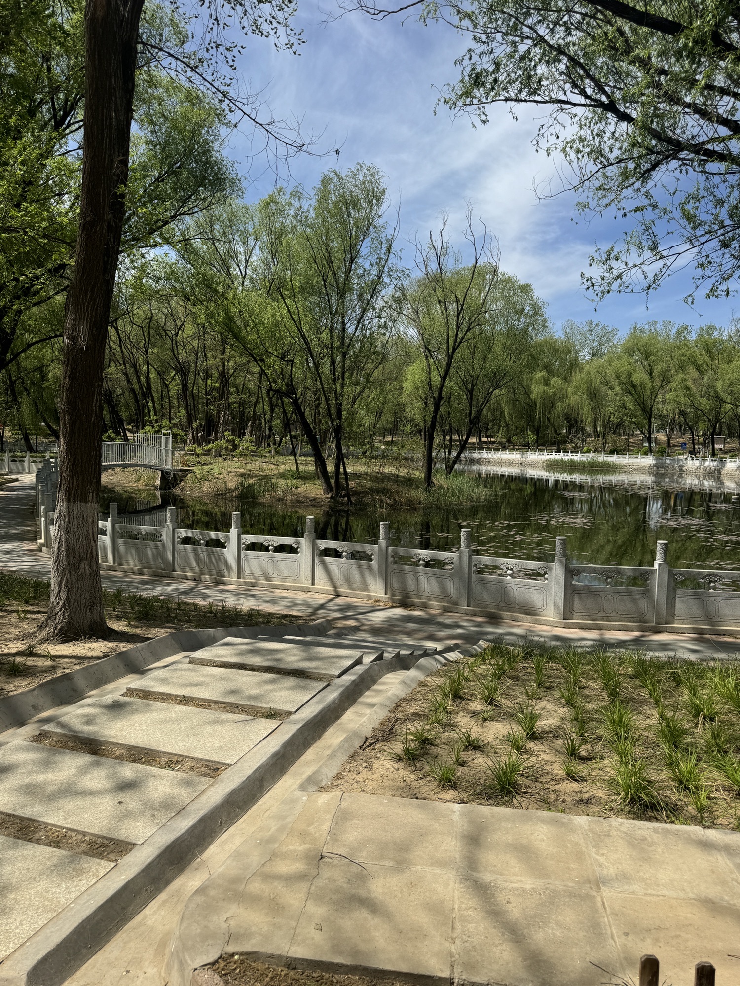黄渠公园旅行图片 2