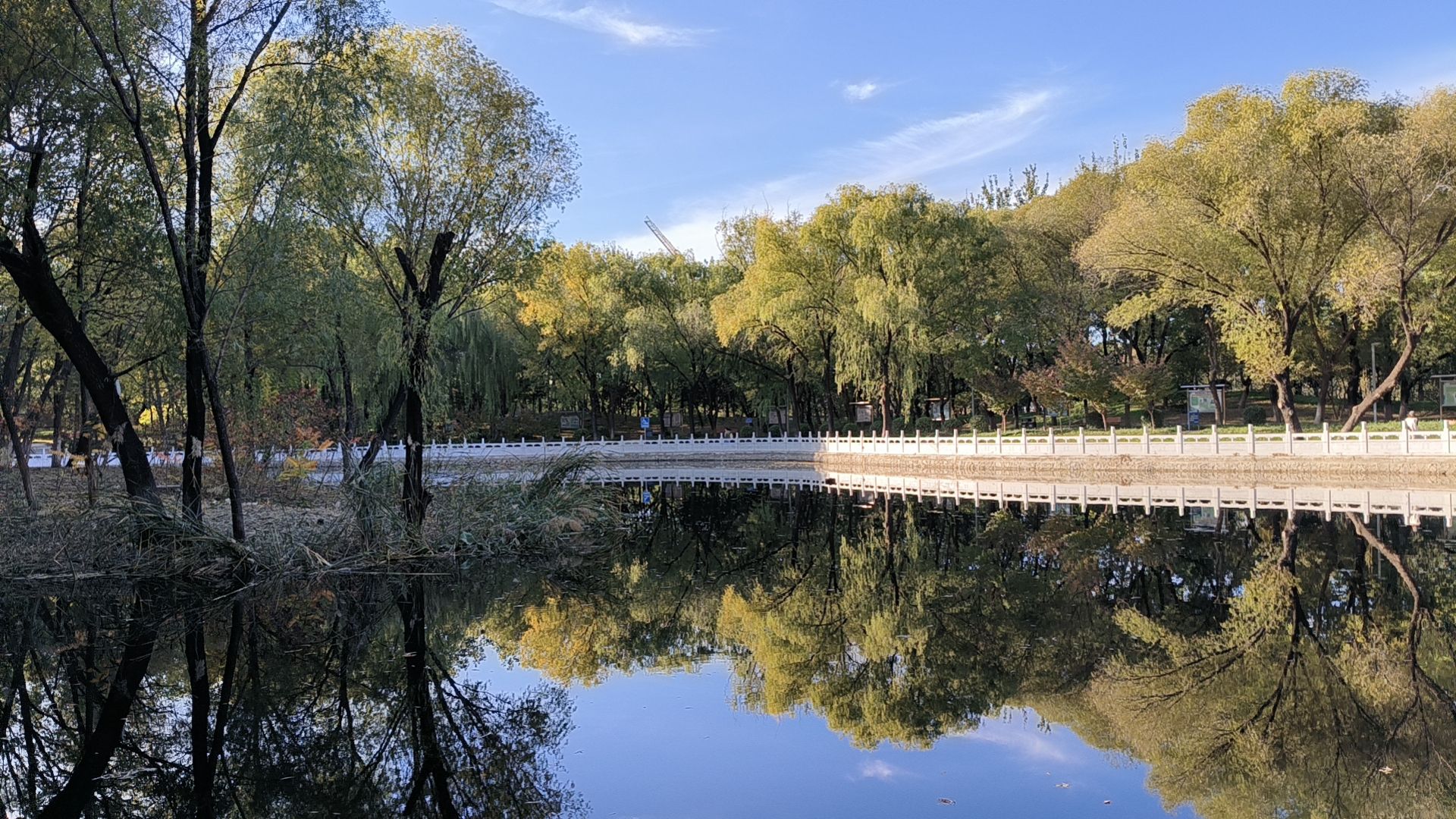 黄渠公园旅行图片 1