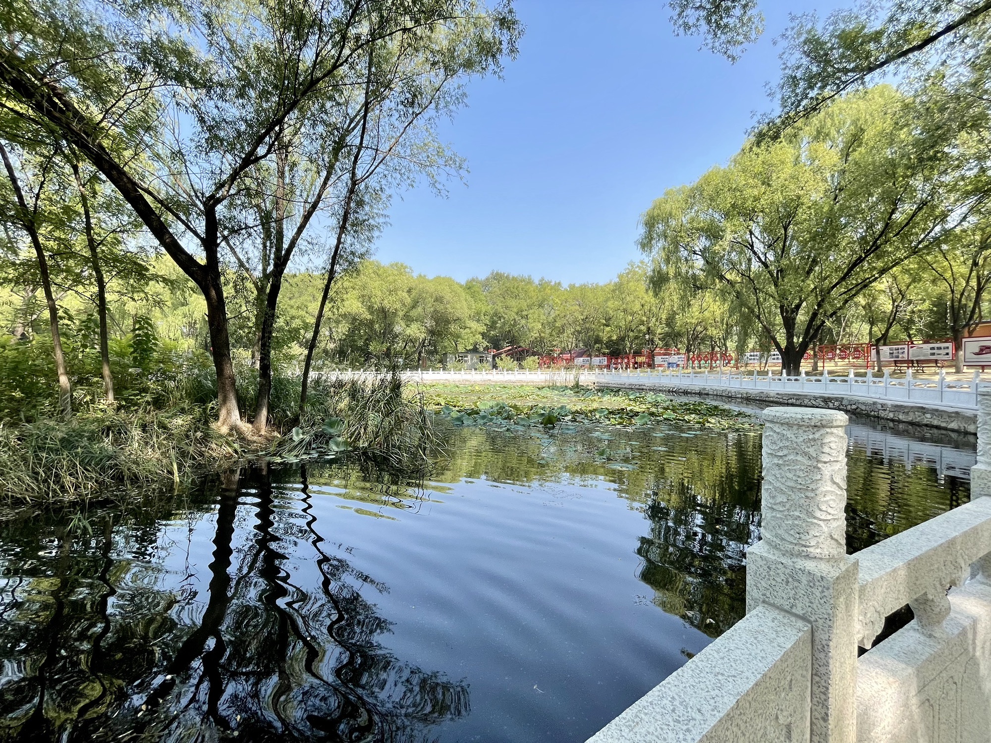 黄渠公园旅行图片 2
