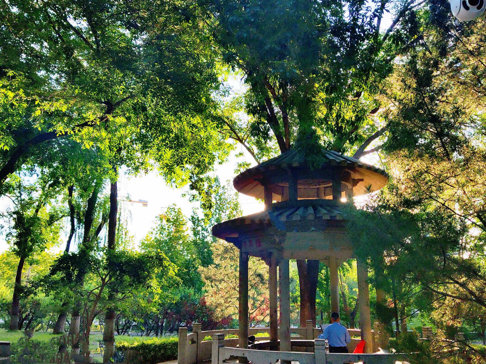 玲珑公园旅行图片 1