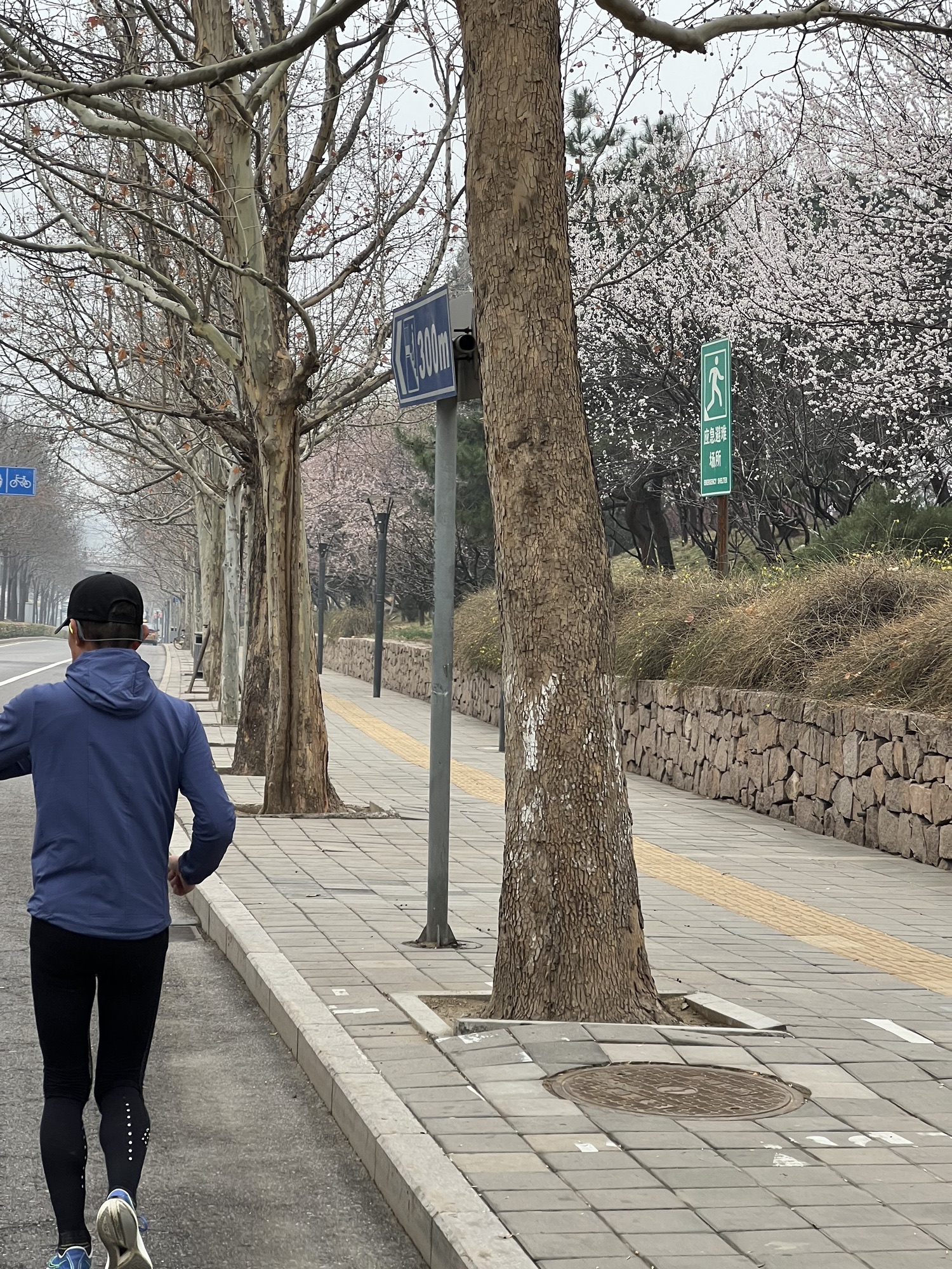 玲珑公园旅行图片 2